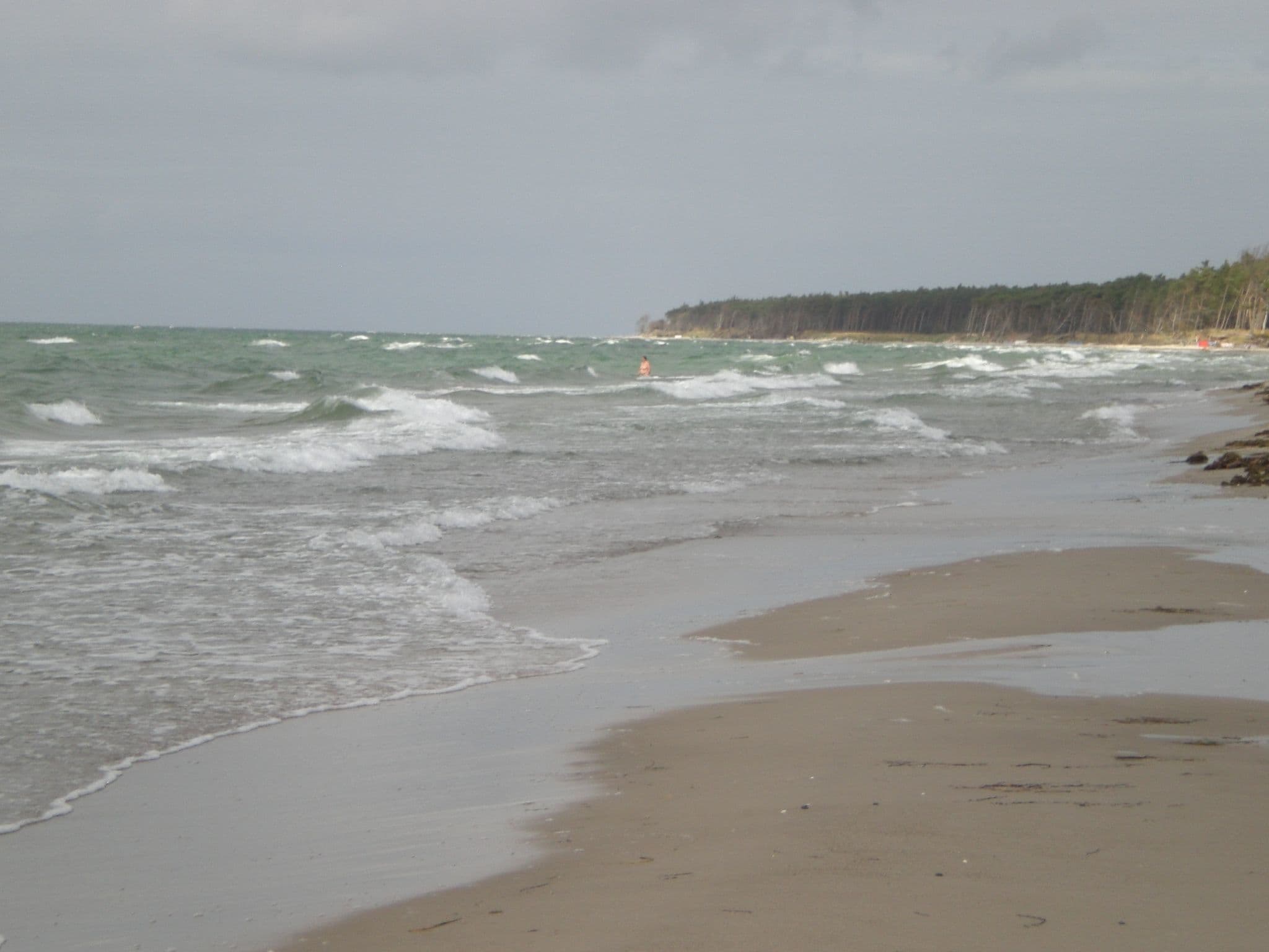 Gallery Image 28