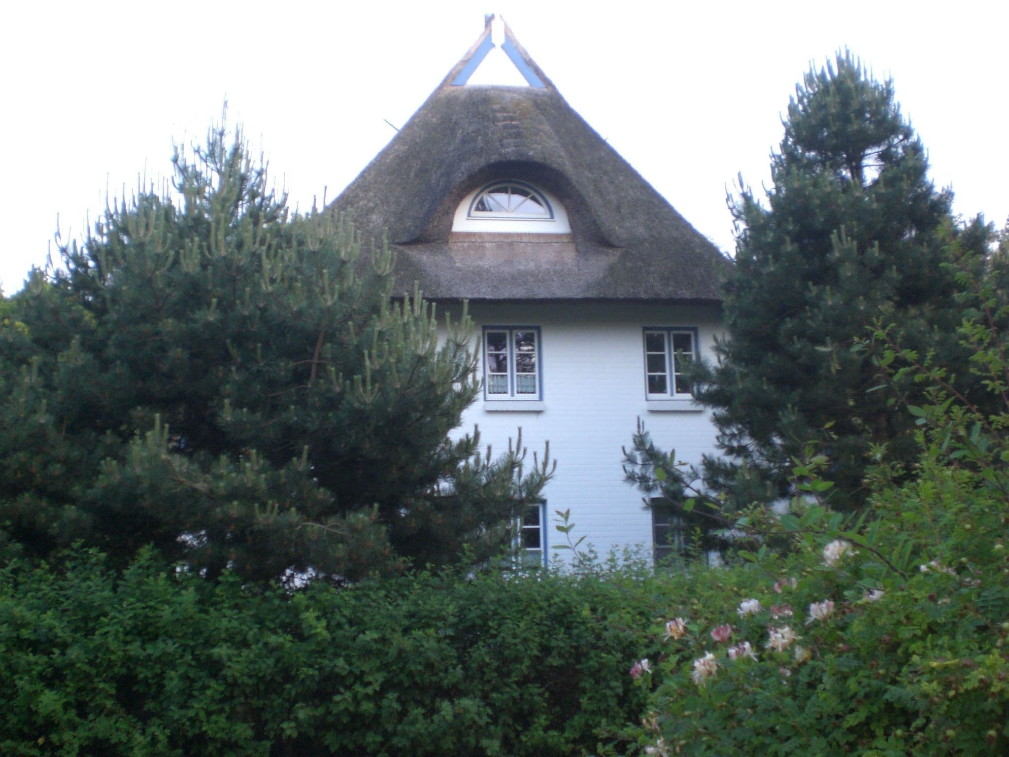 Gallery Image 23