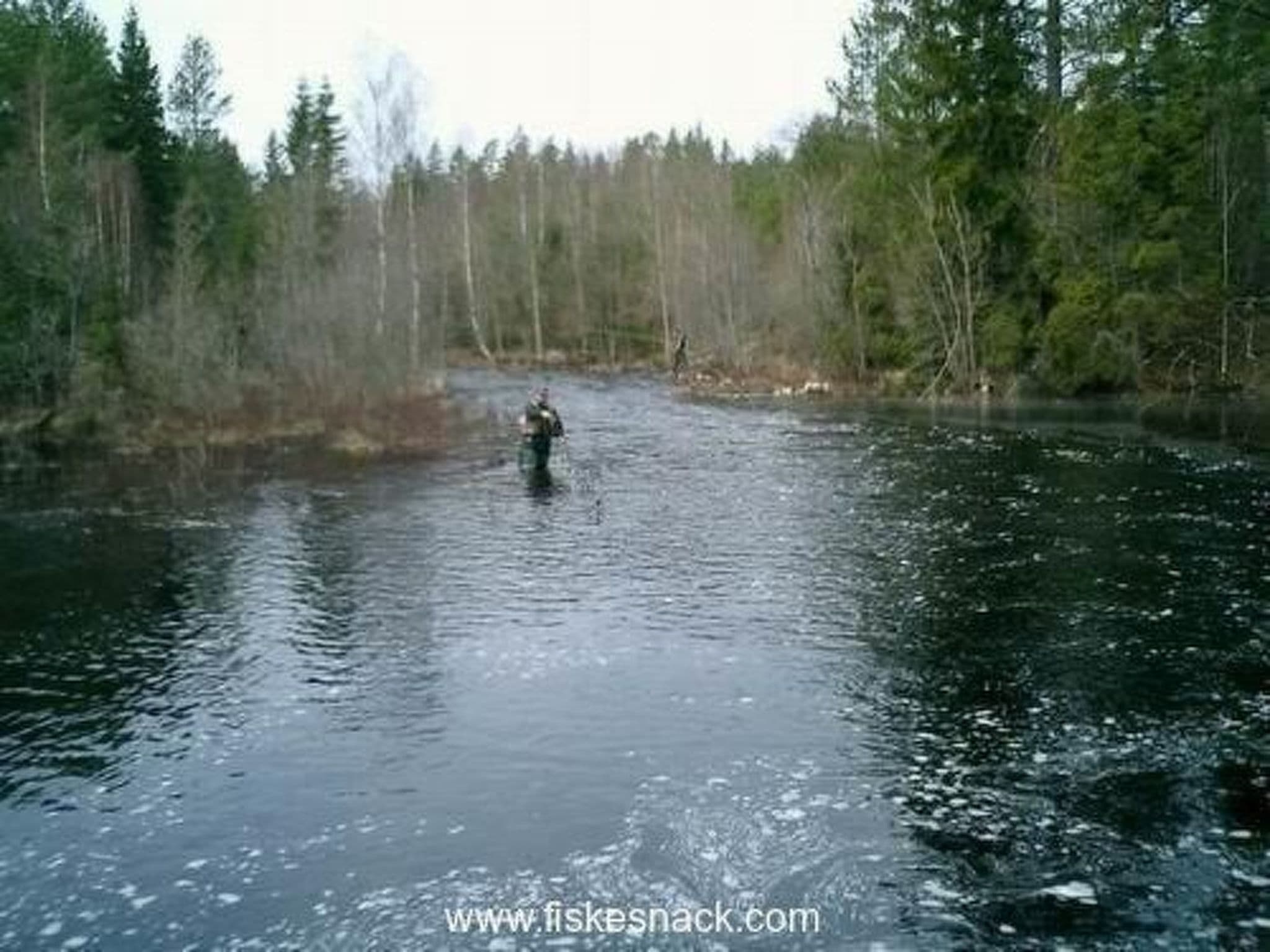 Gallery Image 16