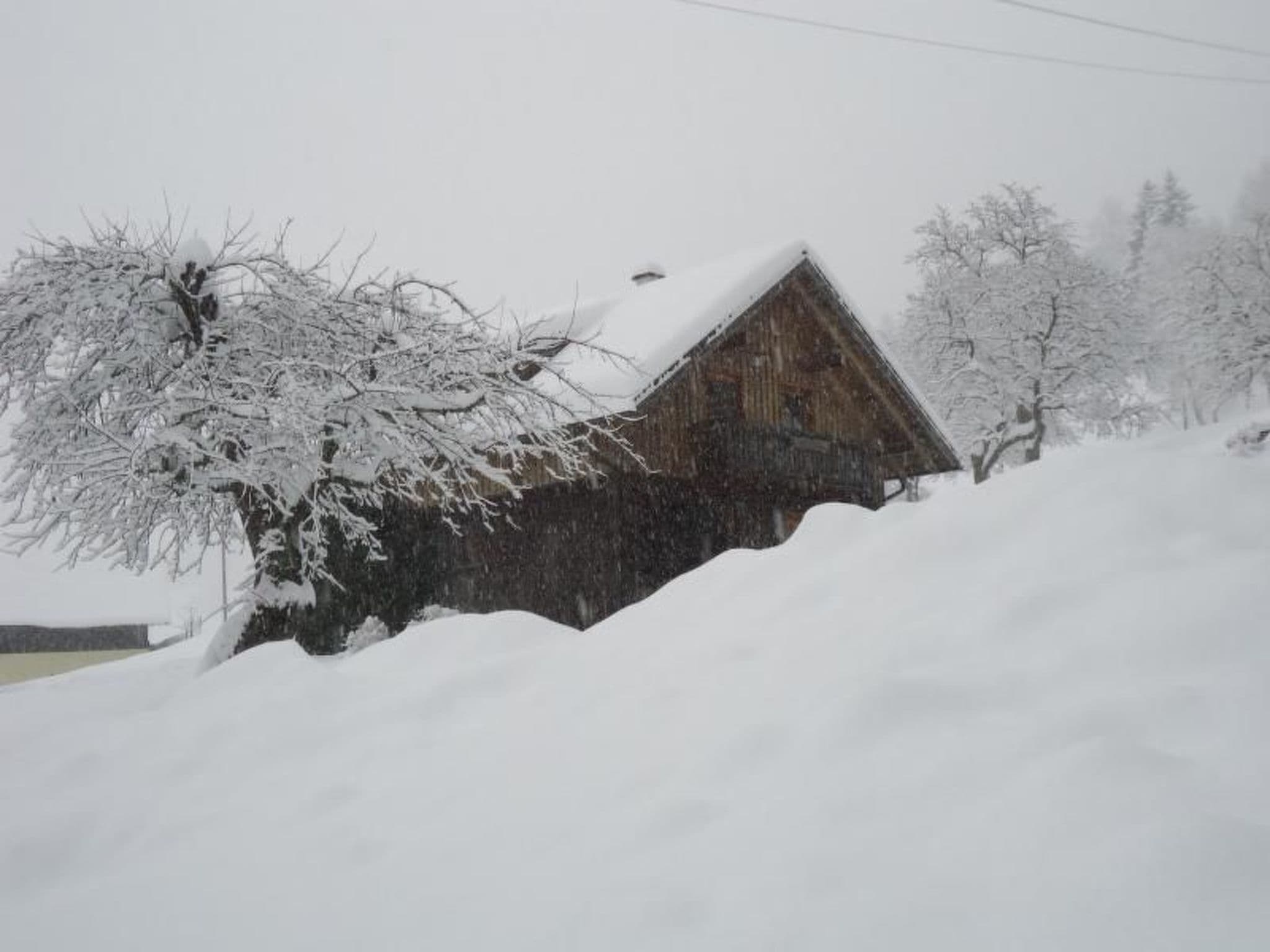 Gallery Image 28