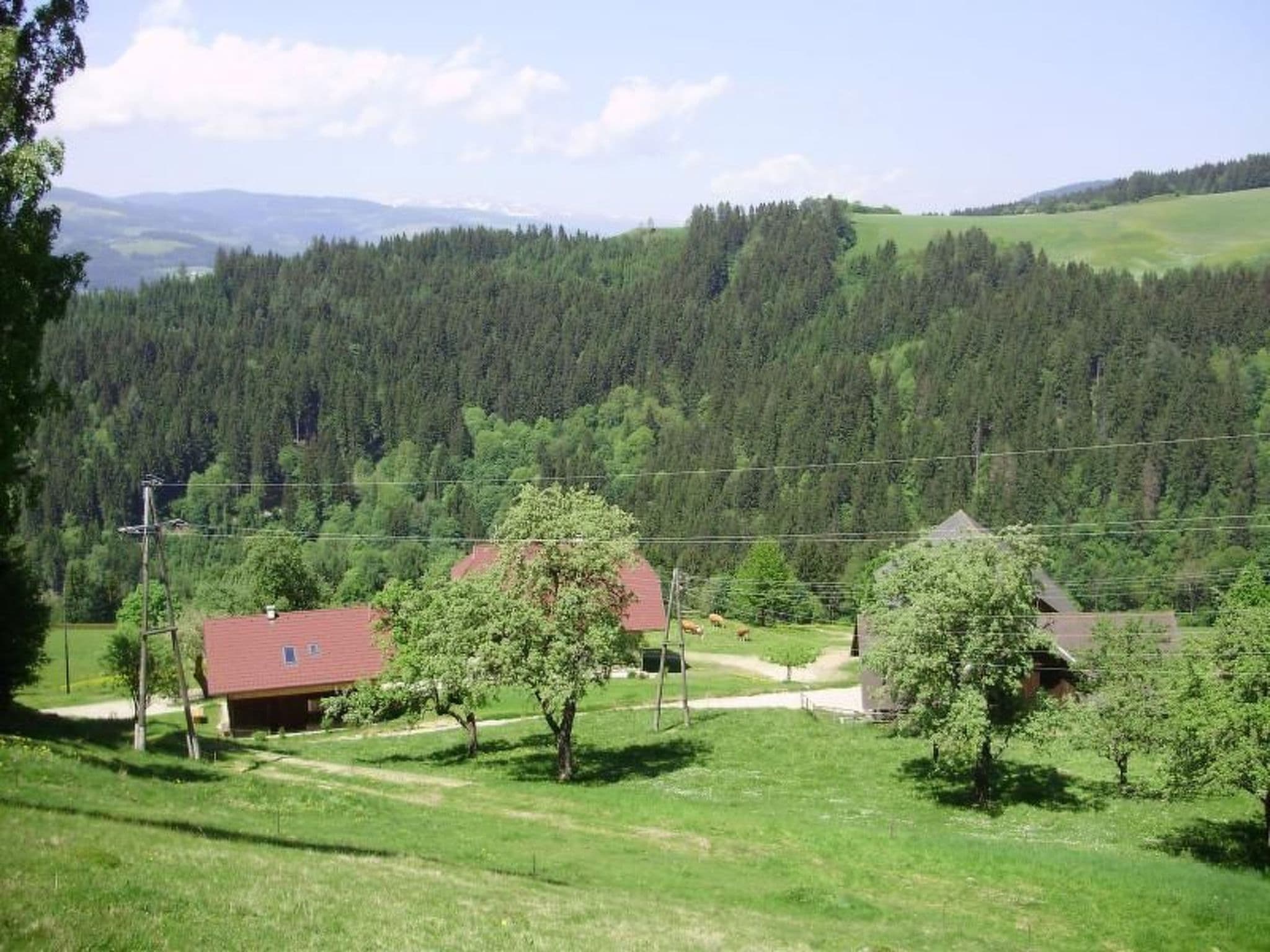 Gallery Image 23