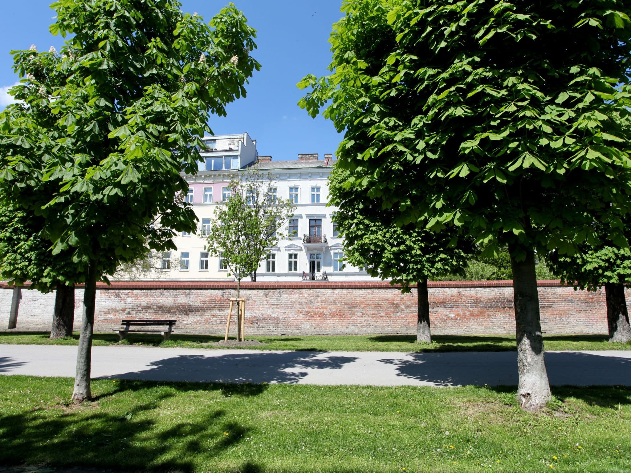 Gallery Image 15