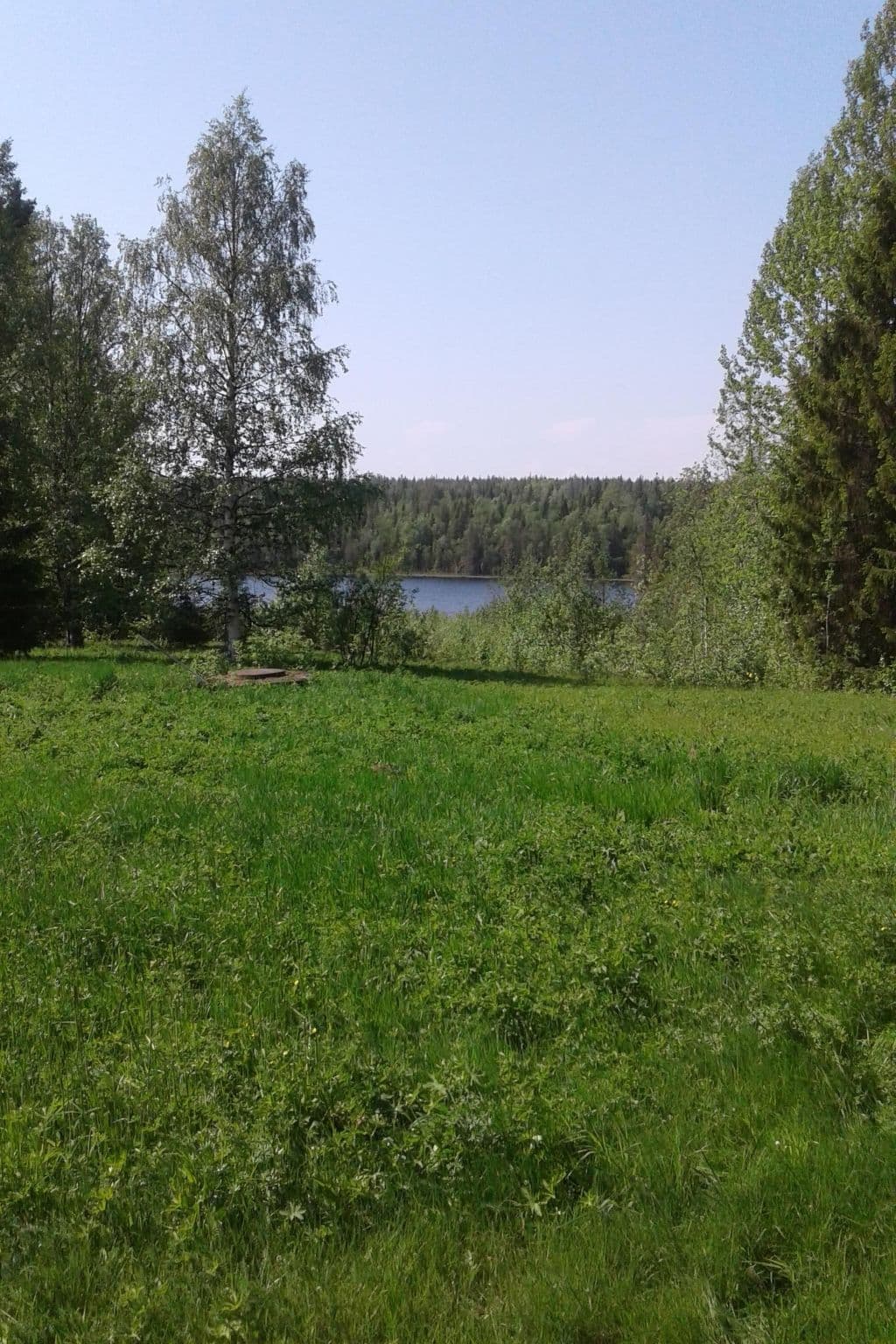 Gallery Image 15