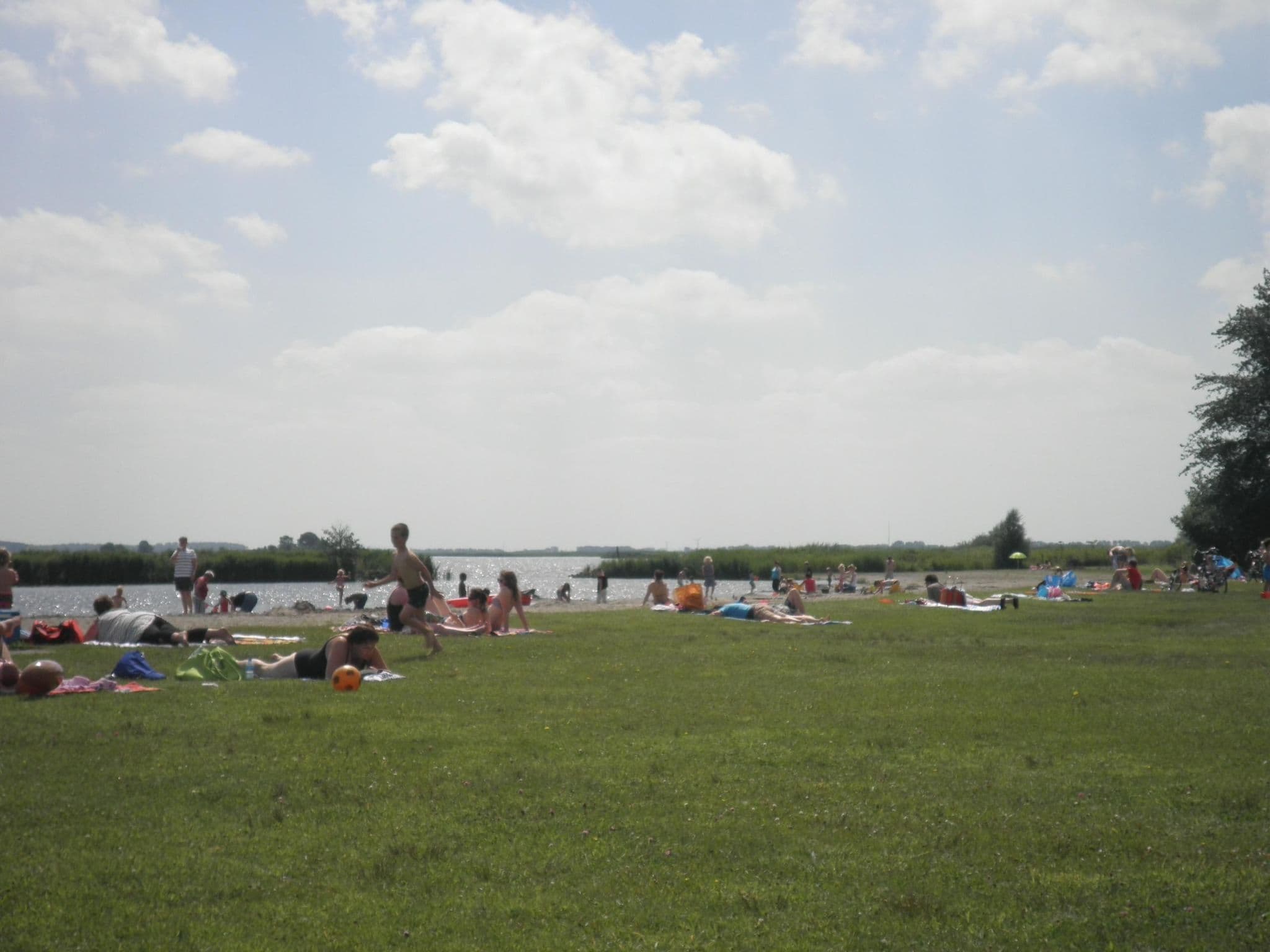 Gallery Image 21