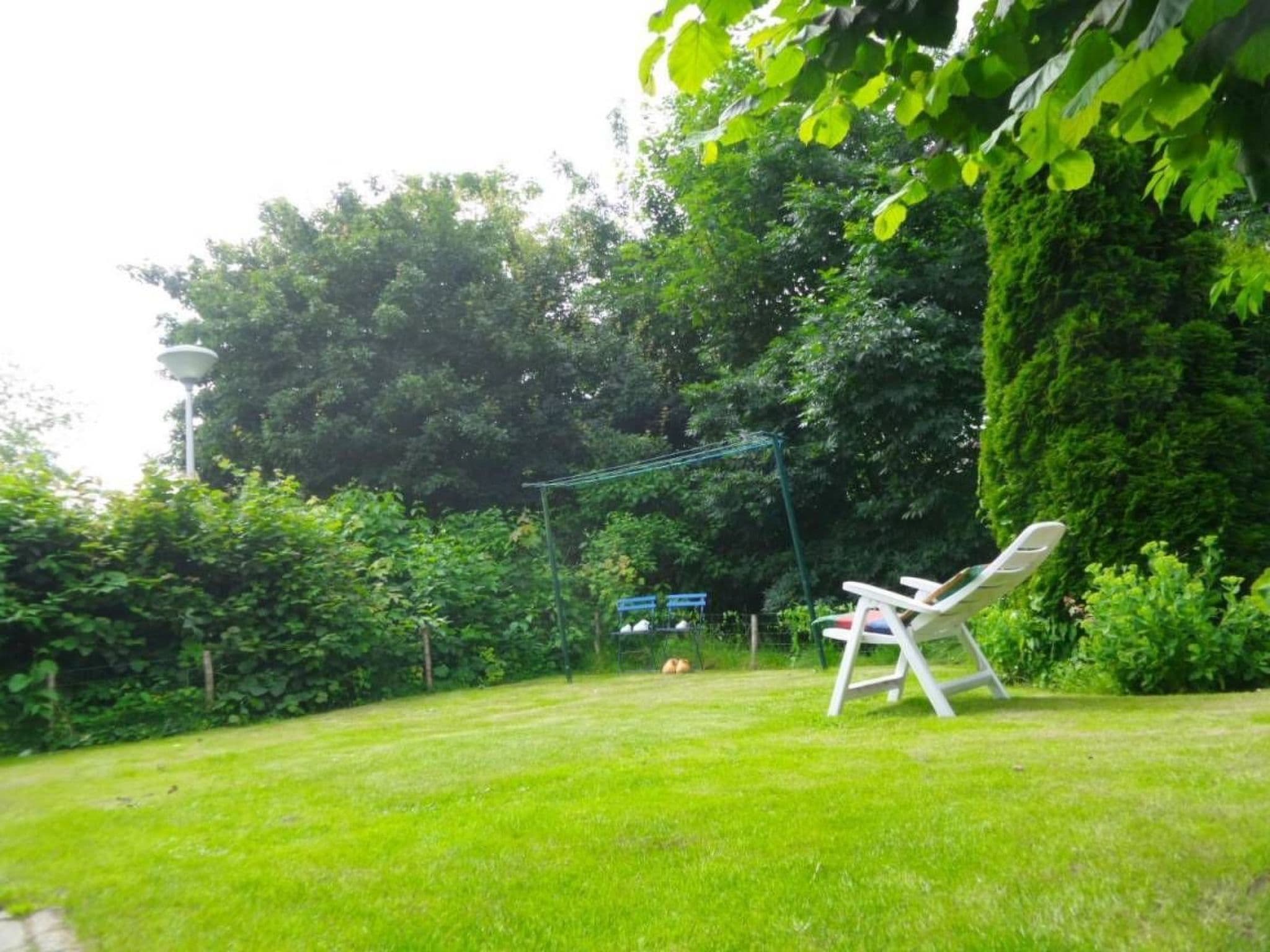 Gallery Image 16