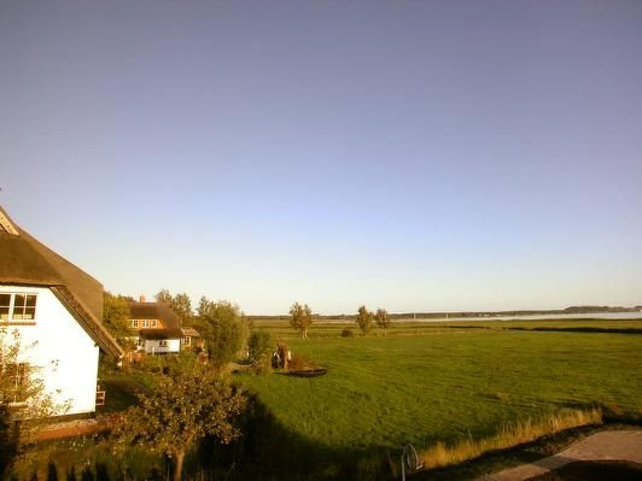 Gallery Image 16