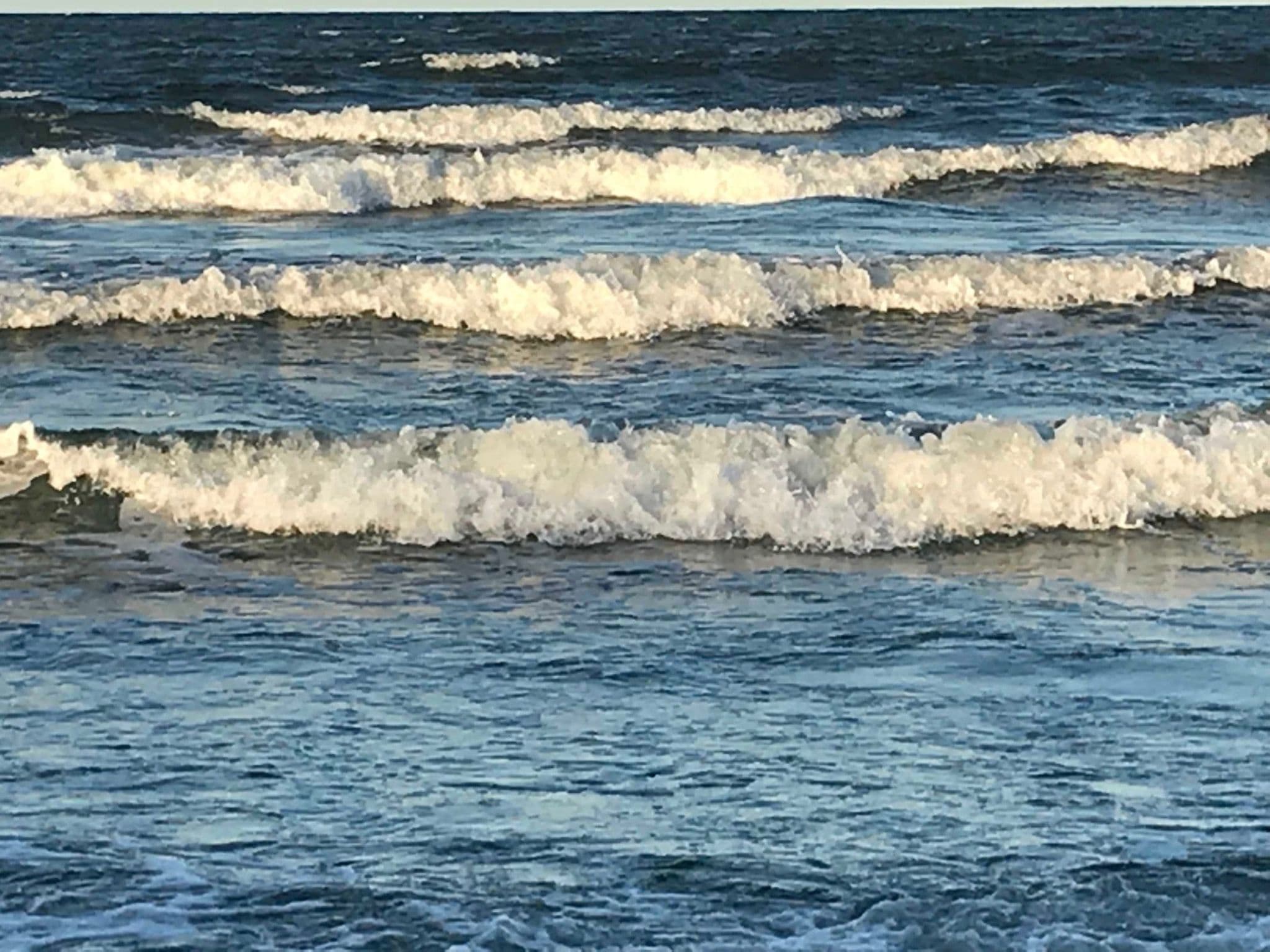 Gallery Image 29