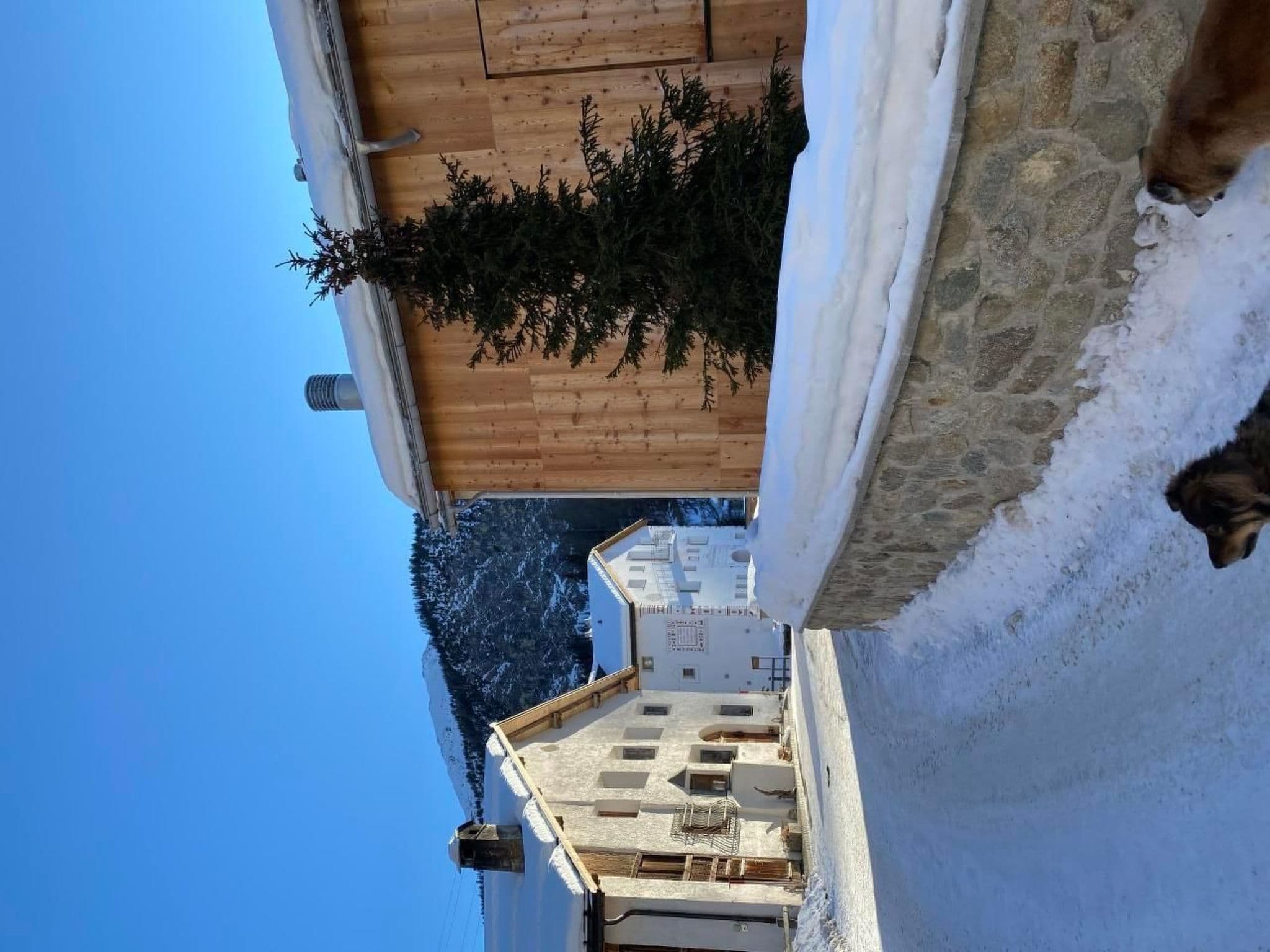 Gallery Image 62