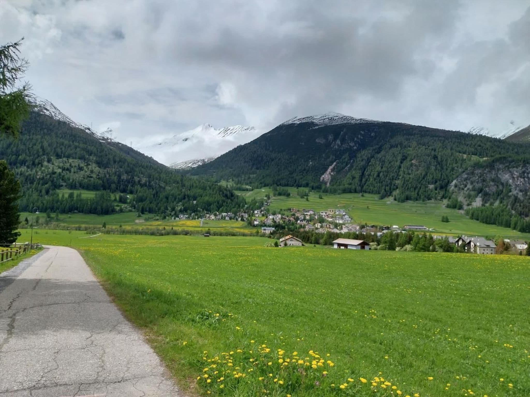 View