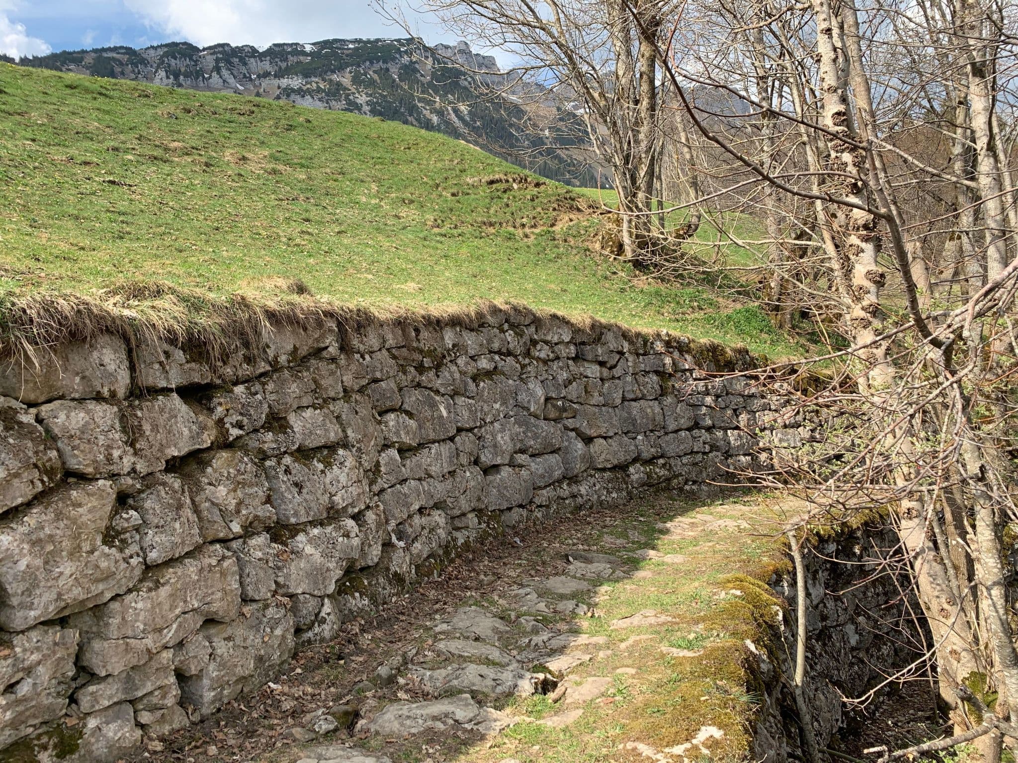 Gallery Image 19