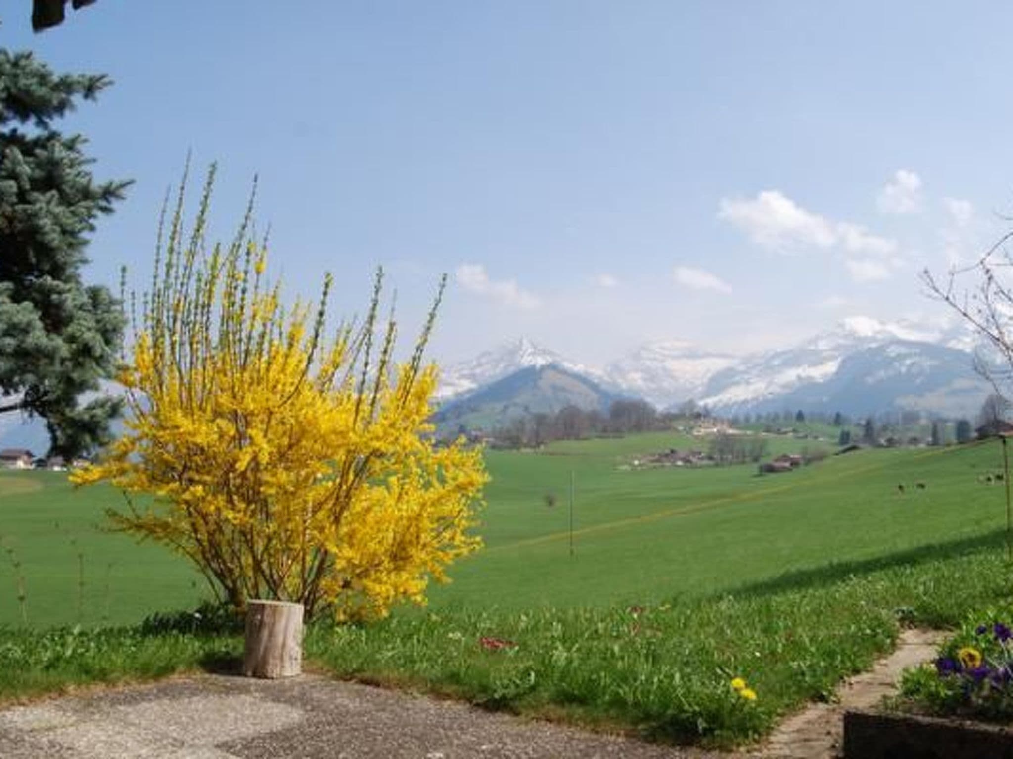 View