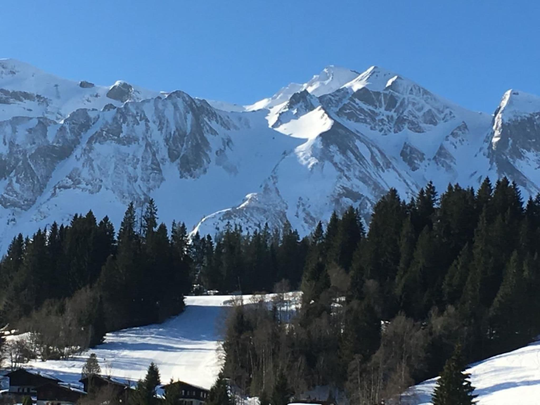 Gallery Image 35