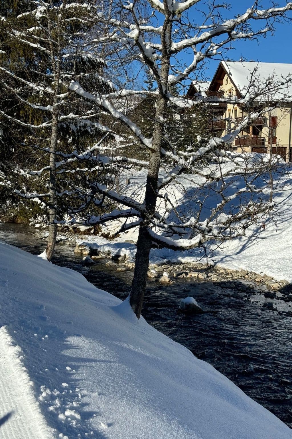 Gallery Image 21