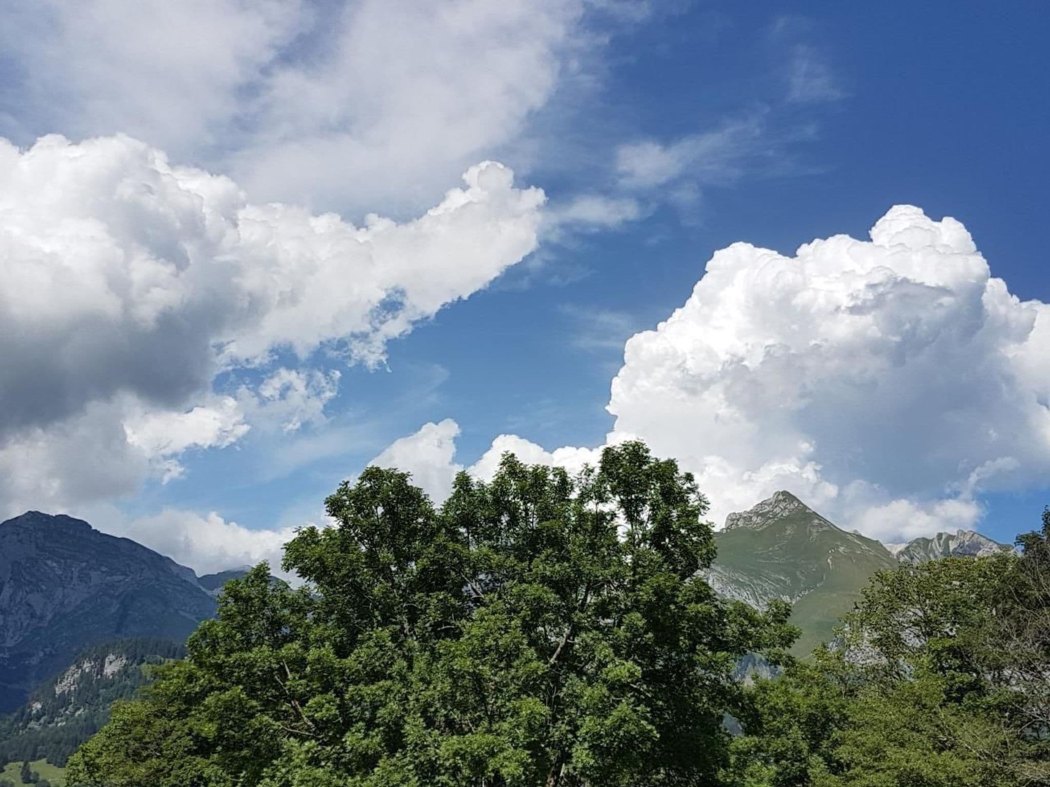 View