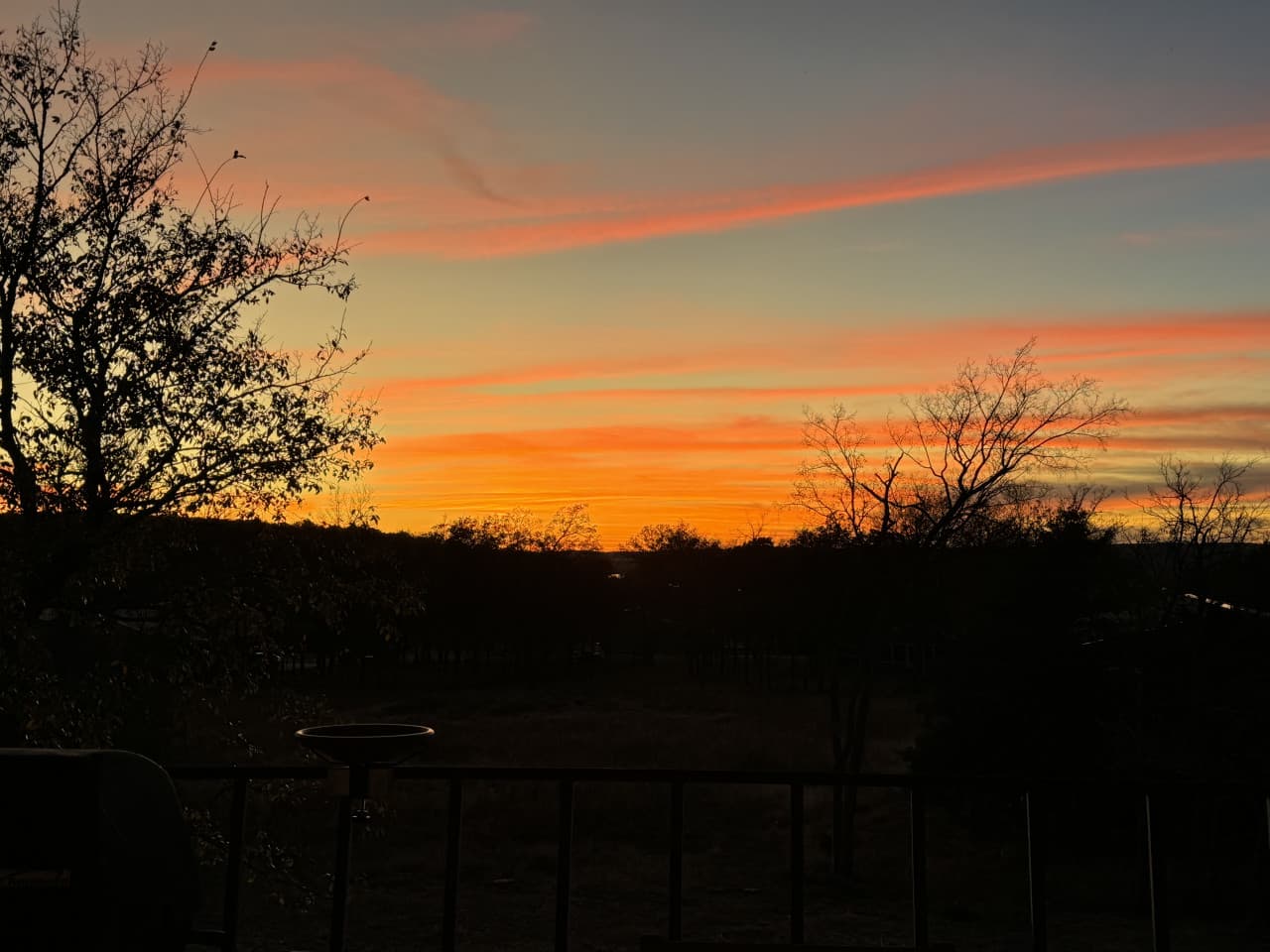 IMG_1073.jpeg