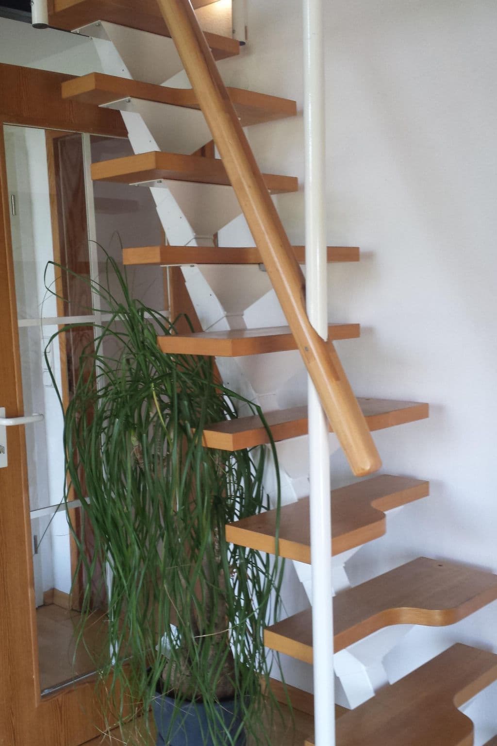 Gallery Image 8