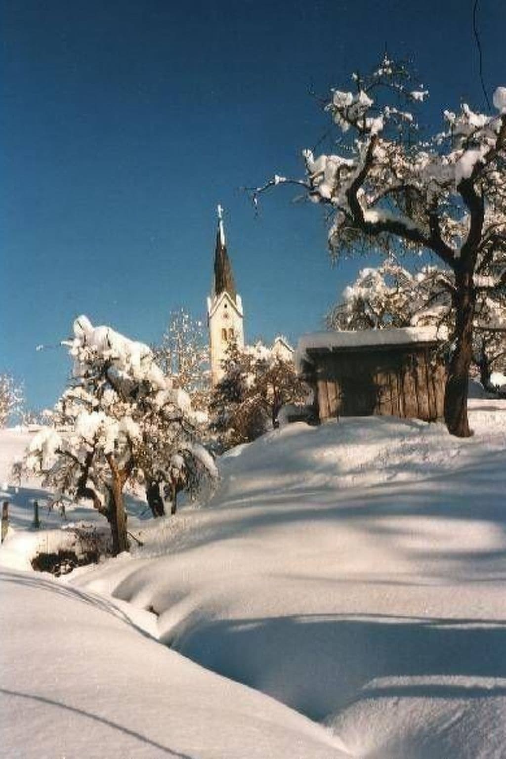 Gallery Image 27