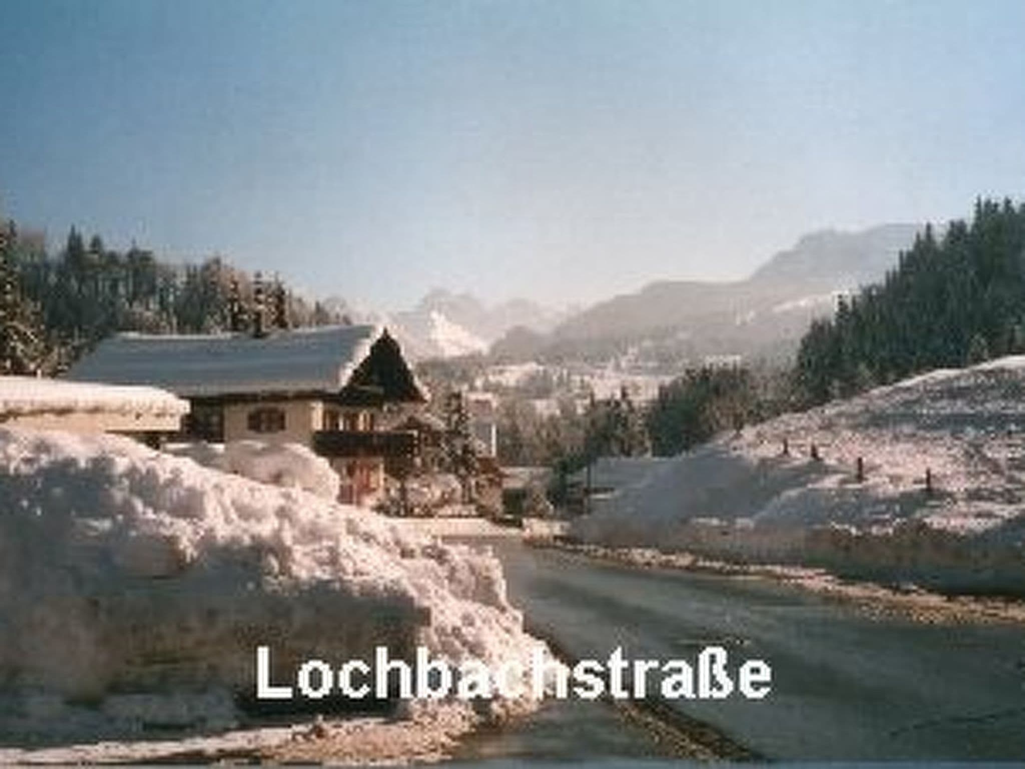 Gallery Image 25