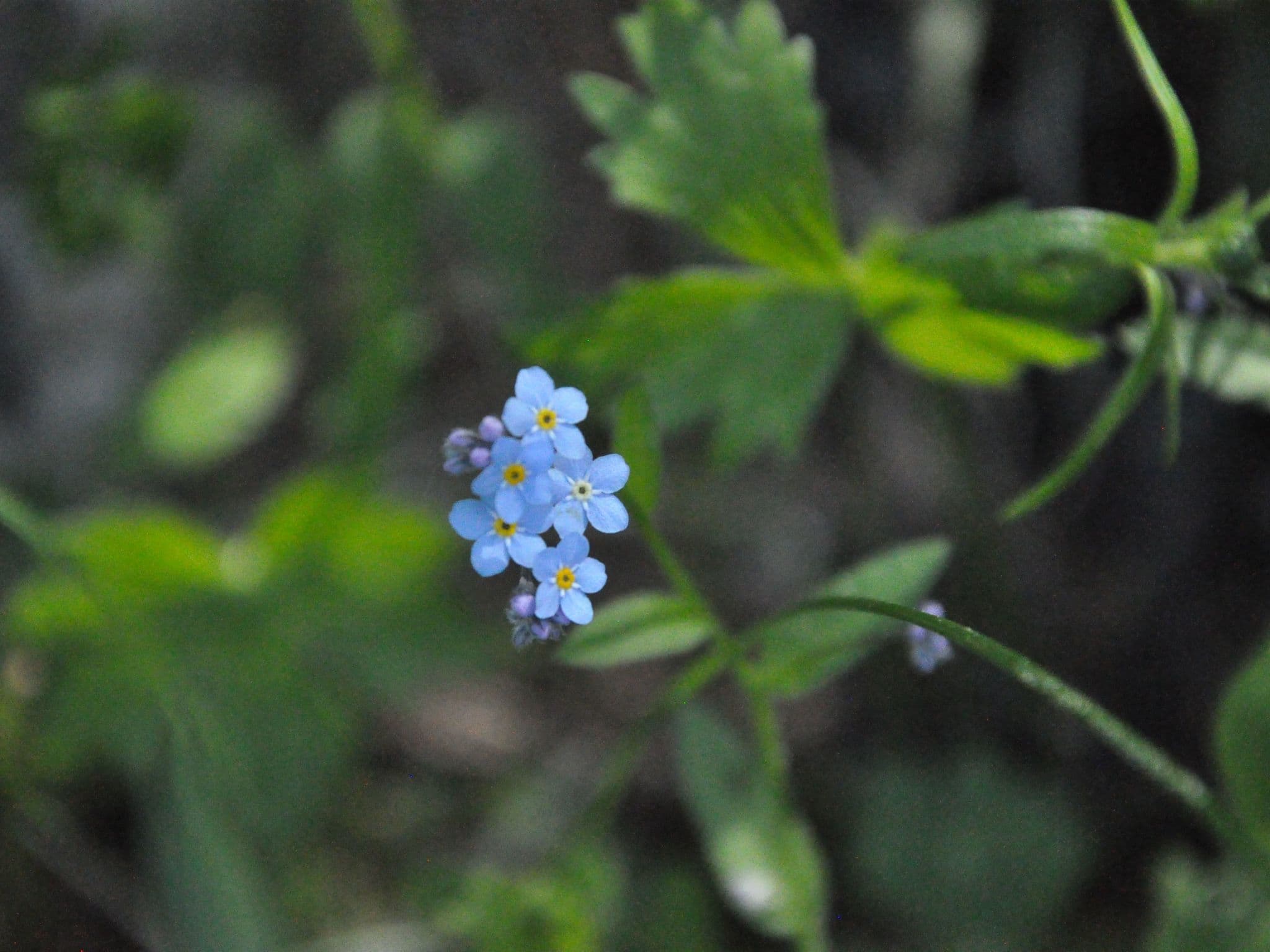 Gallery Image 23