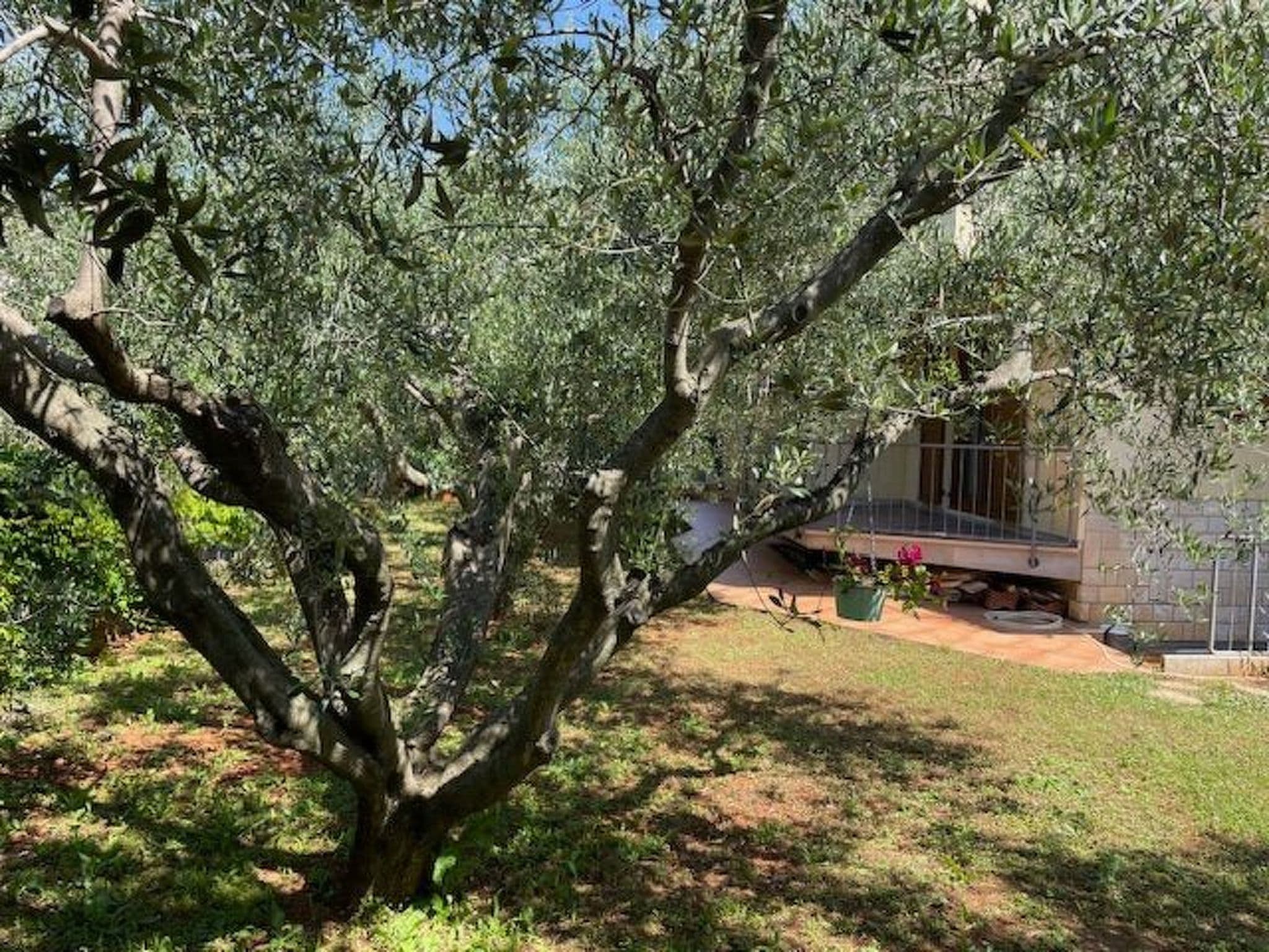 Gallery Image 27