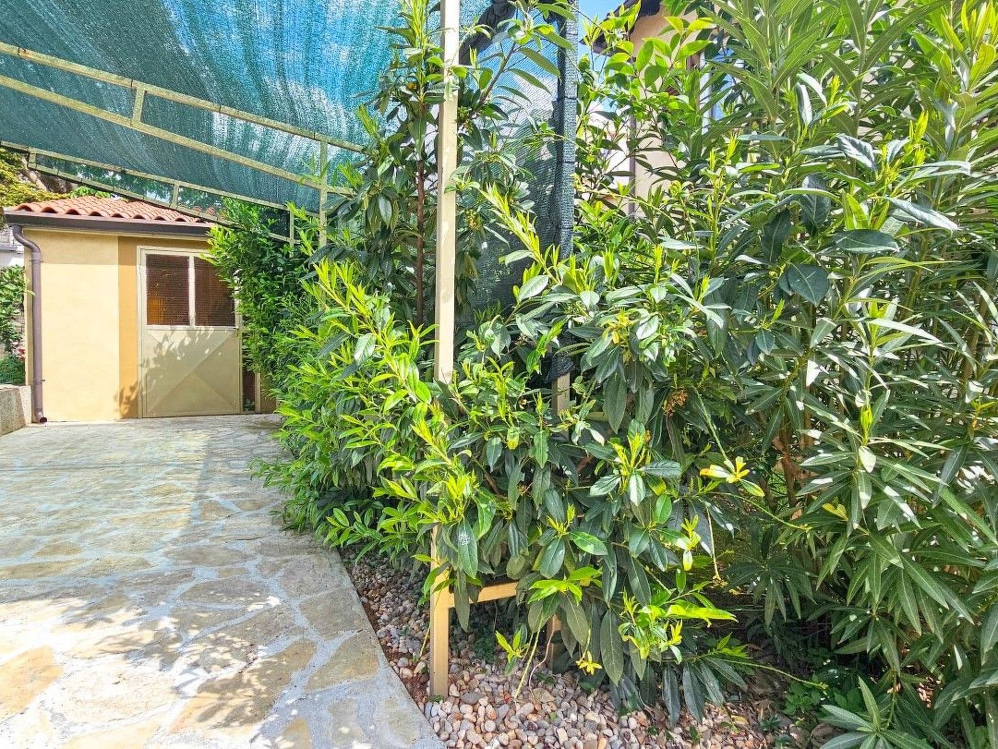 Gallery Image 25