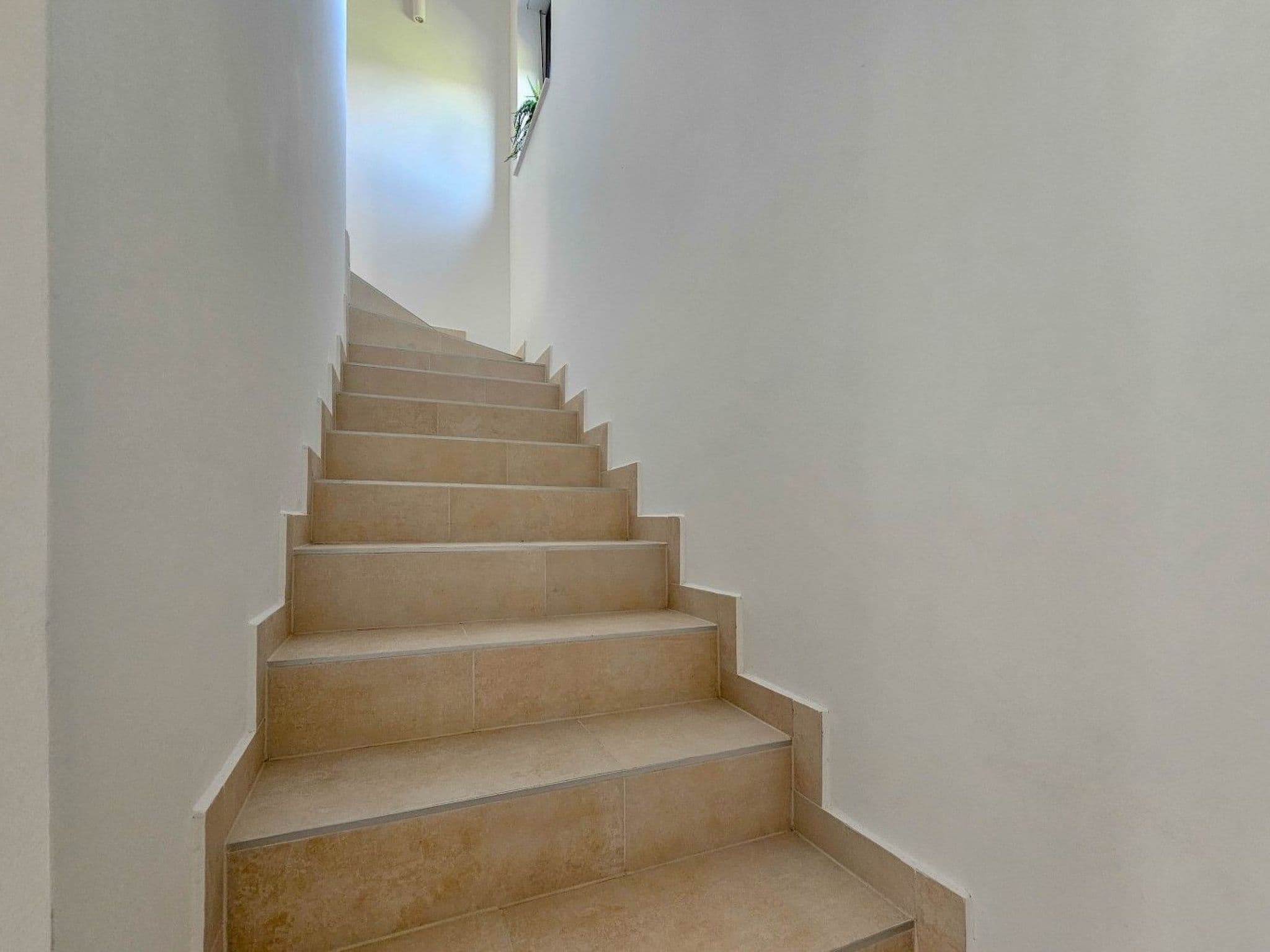 Gallery Image 19