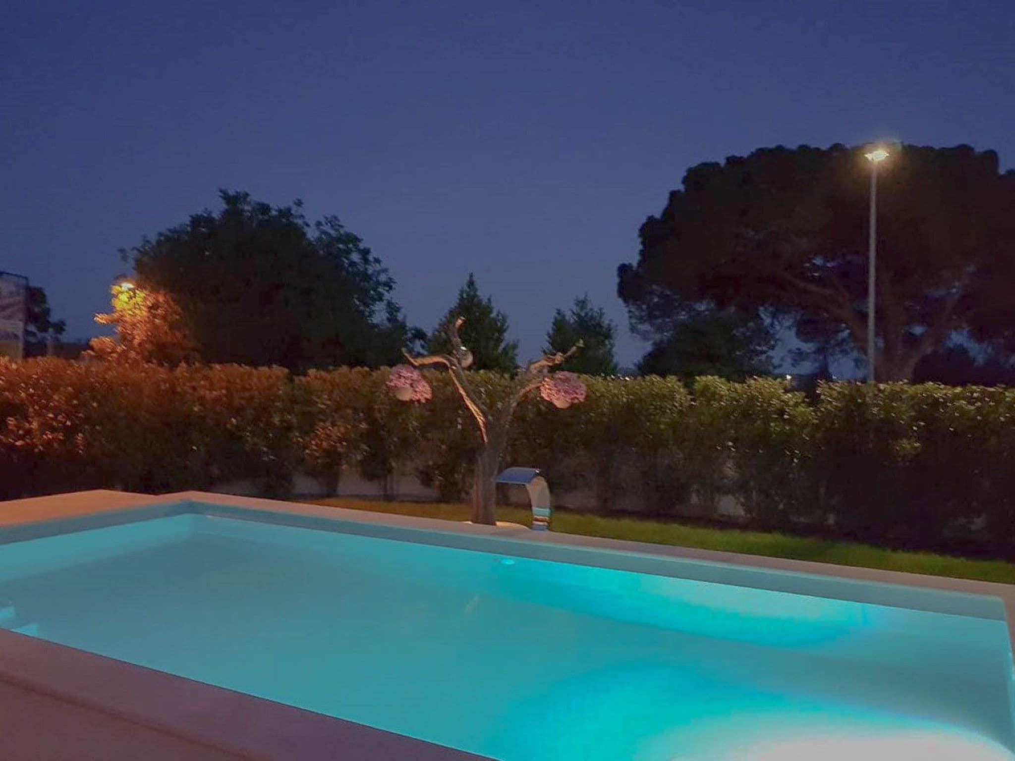 Pool Outdoor