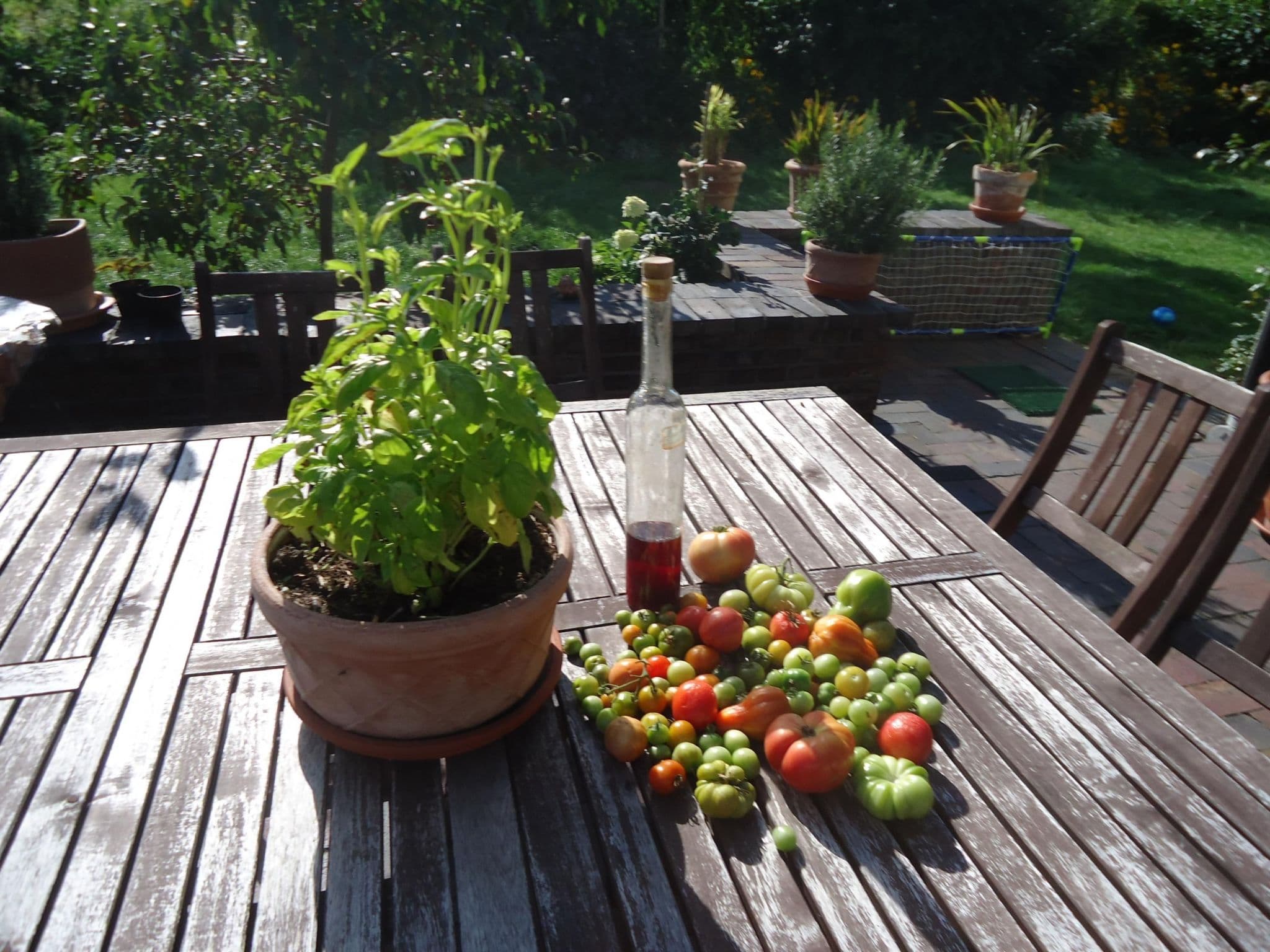 Terrace