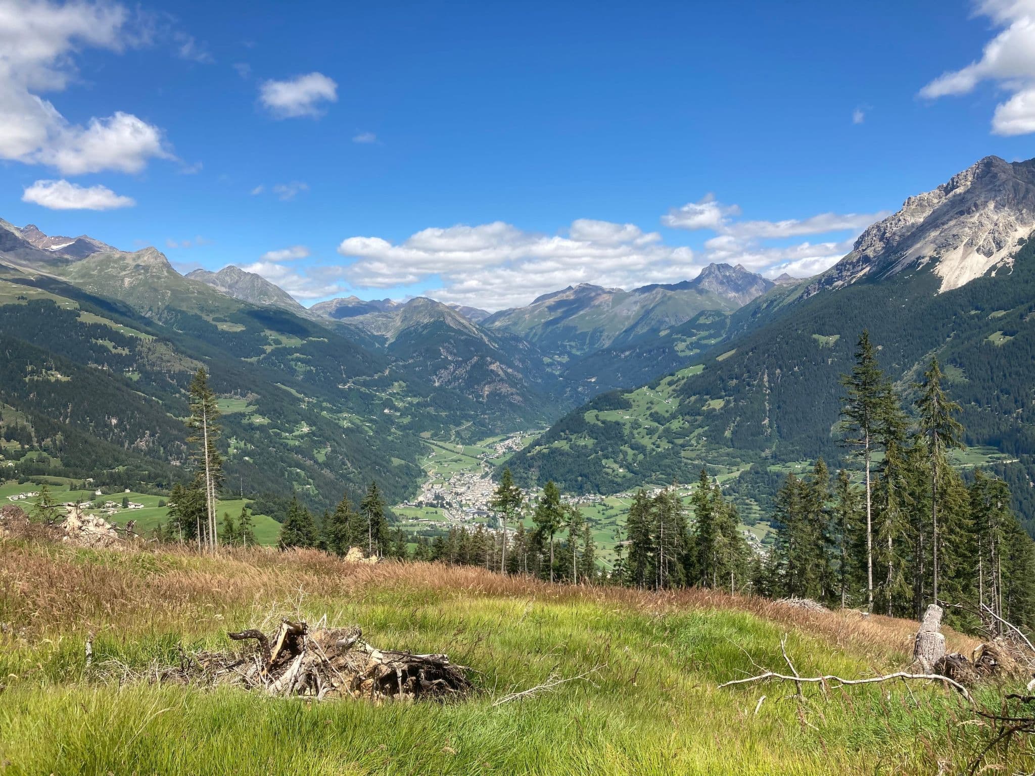 View