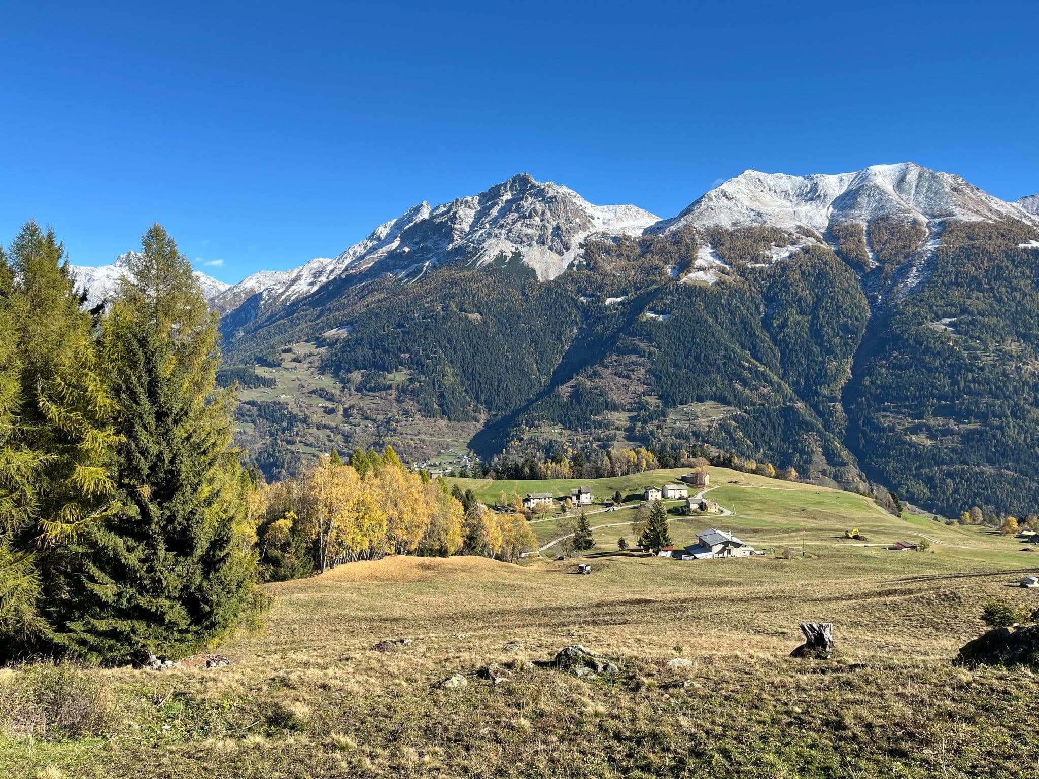 View