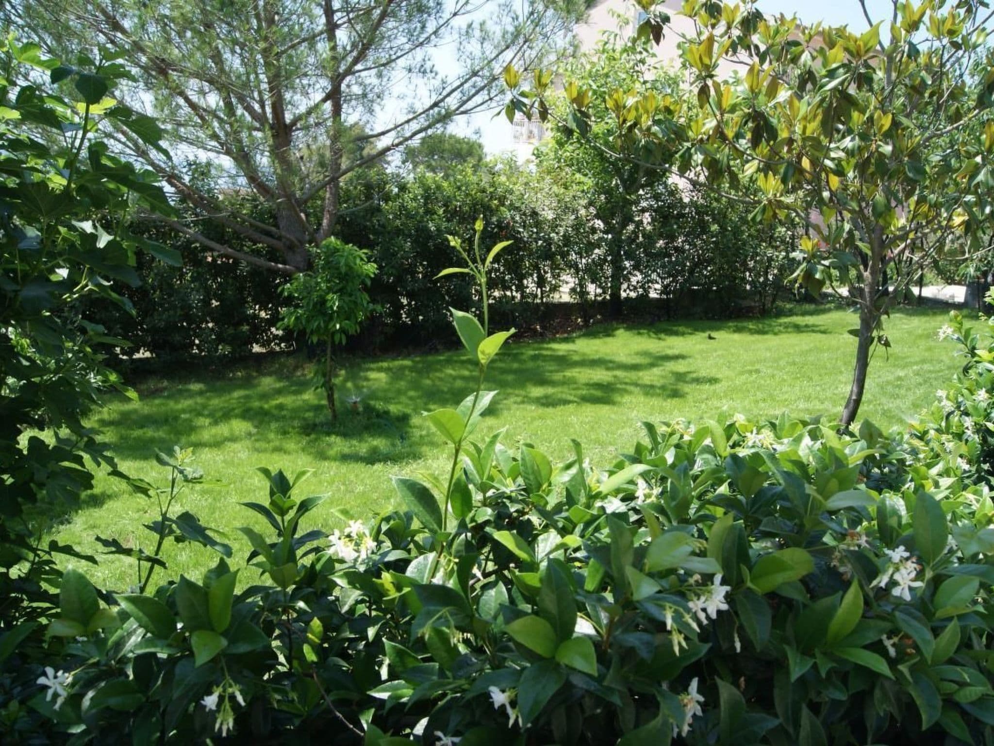Gallery Image 21