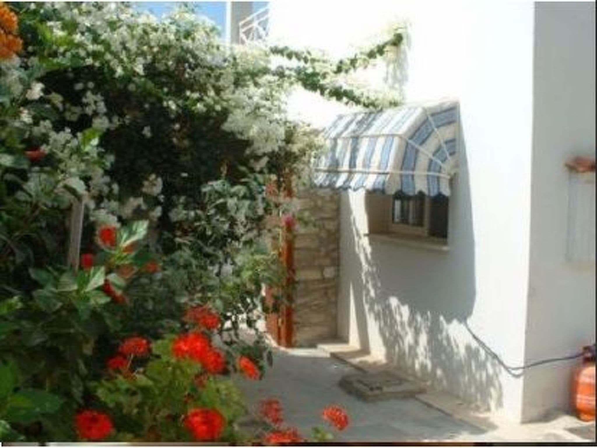 Gallery Image 10