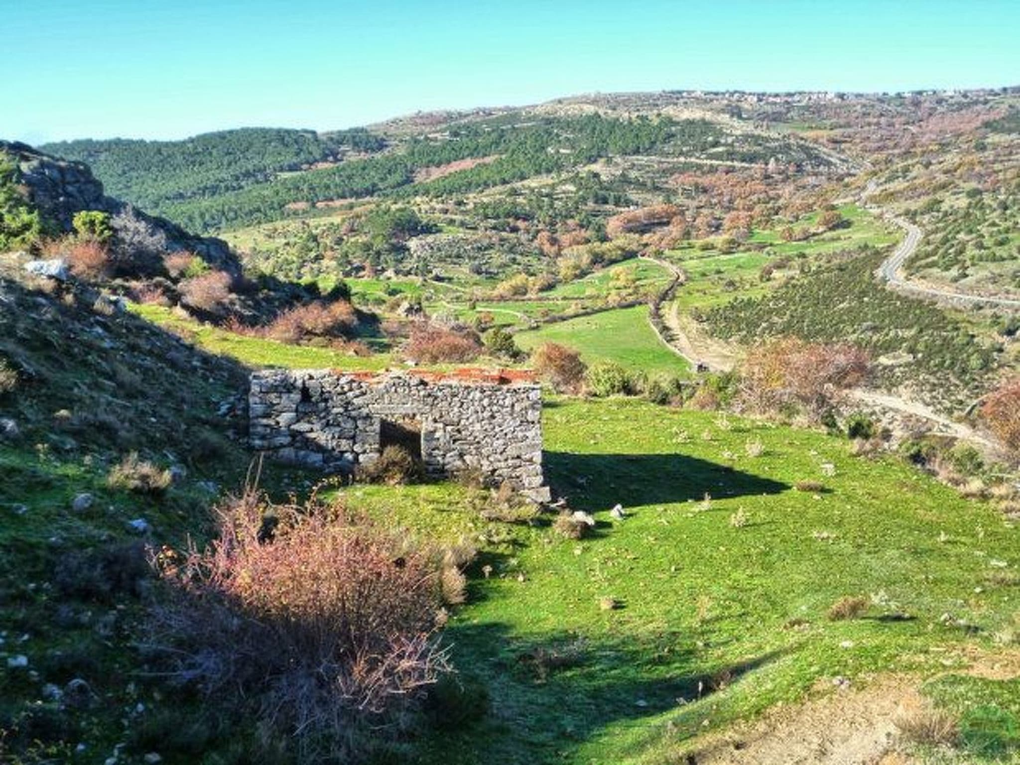 View