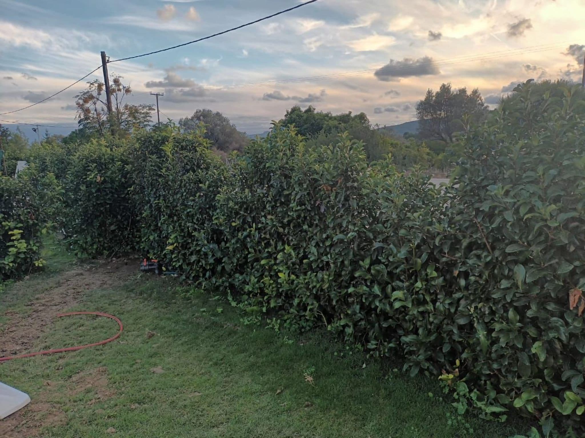 Gallery Image 38
