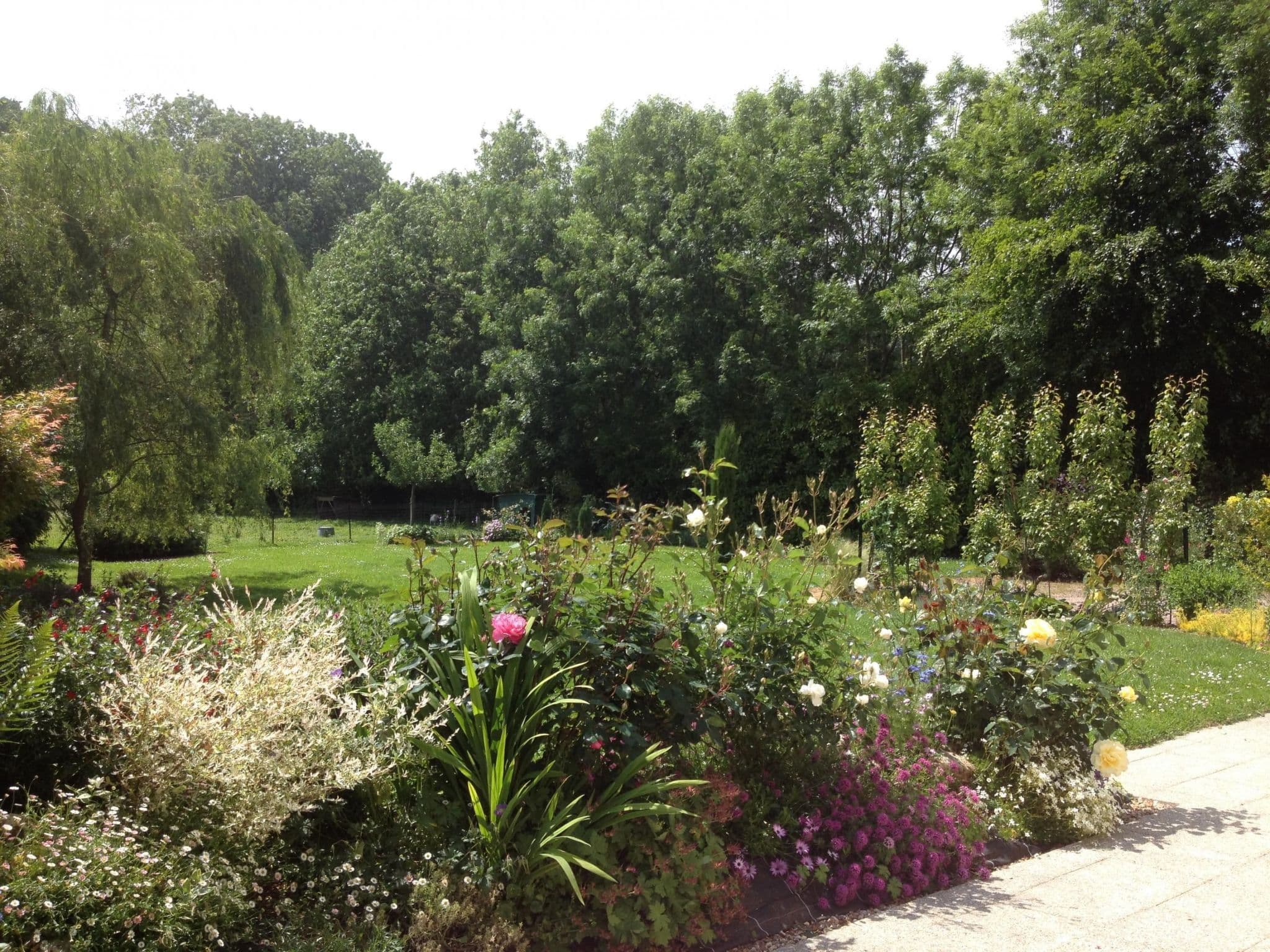 Gallery Image 12