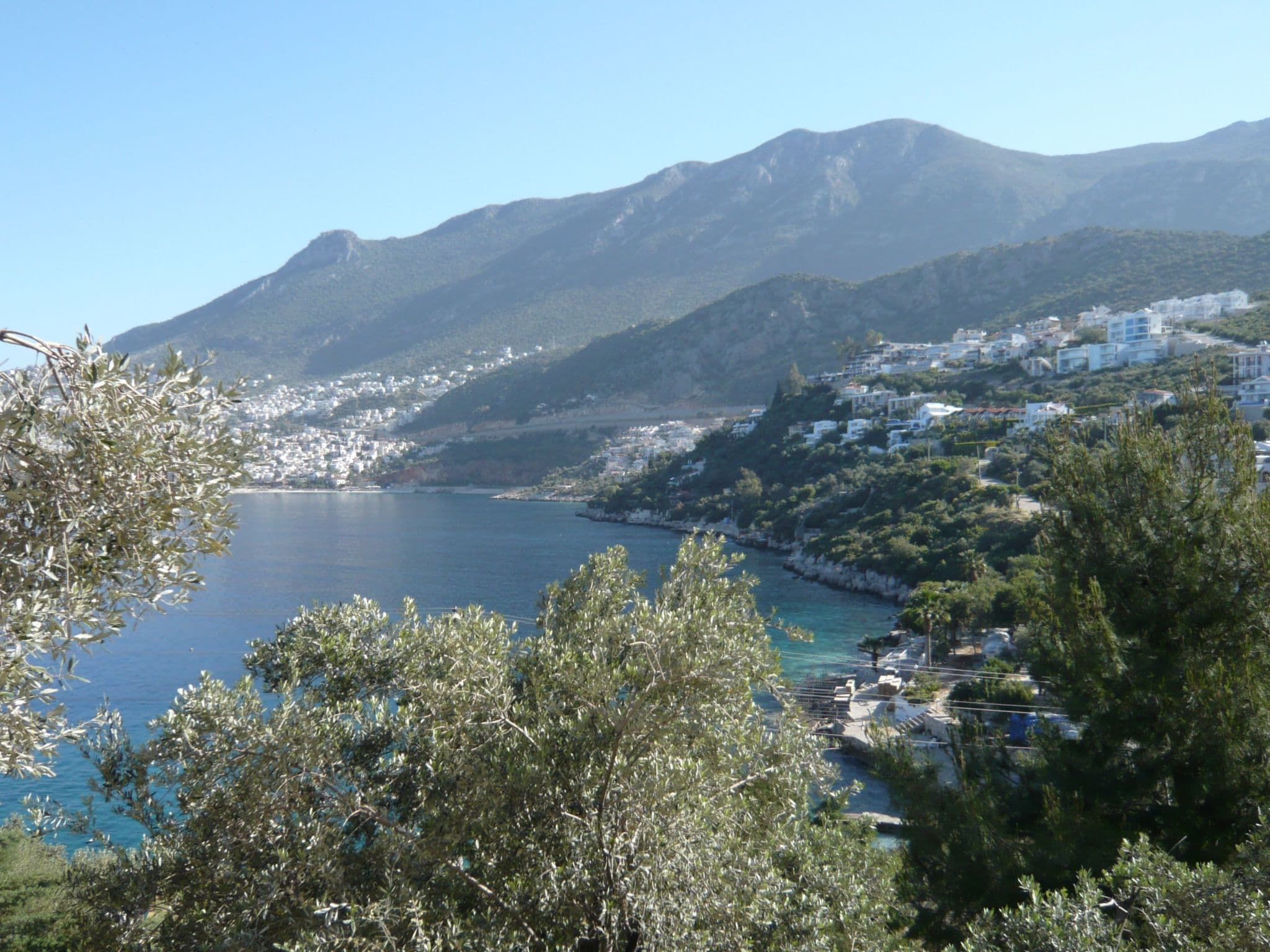 Gallery Image 29