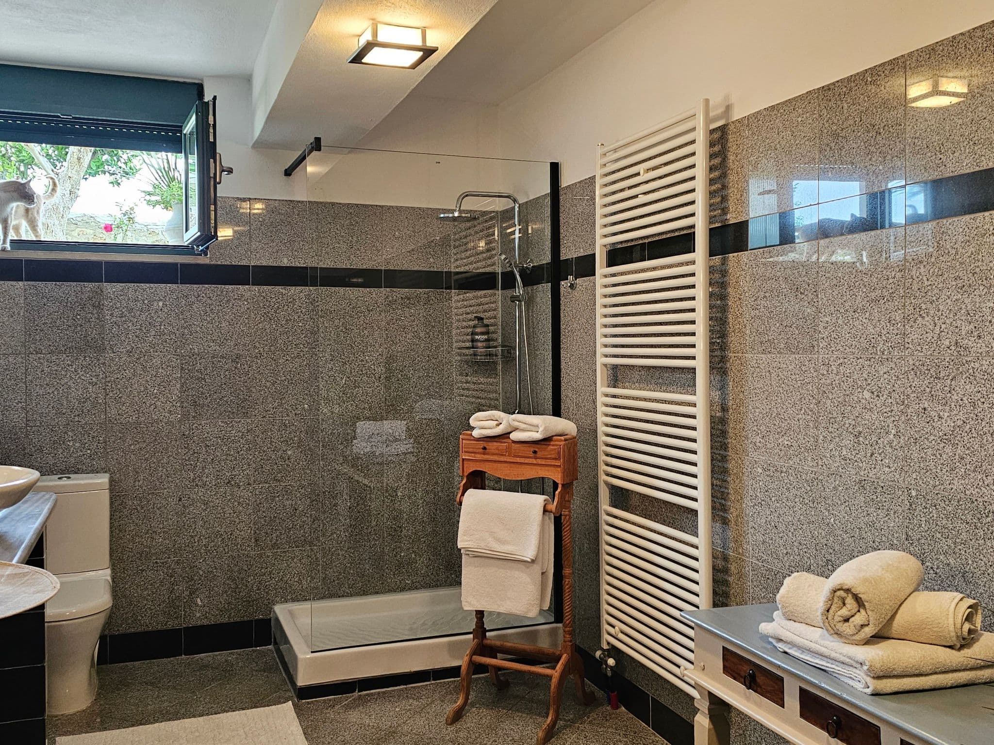 Bathroom / Wellness