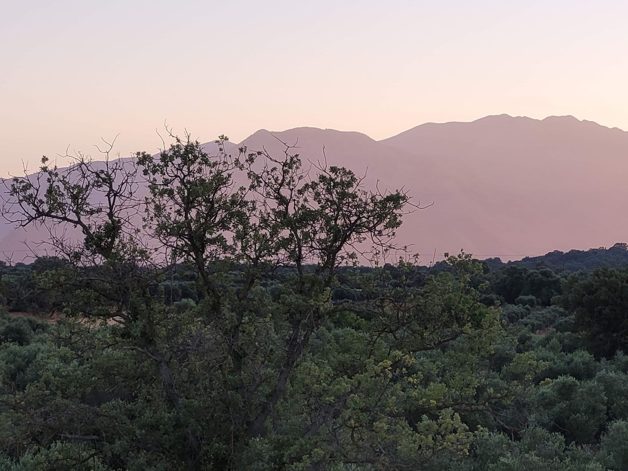 View