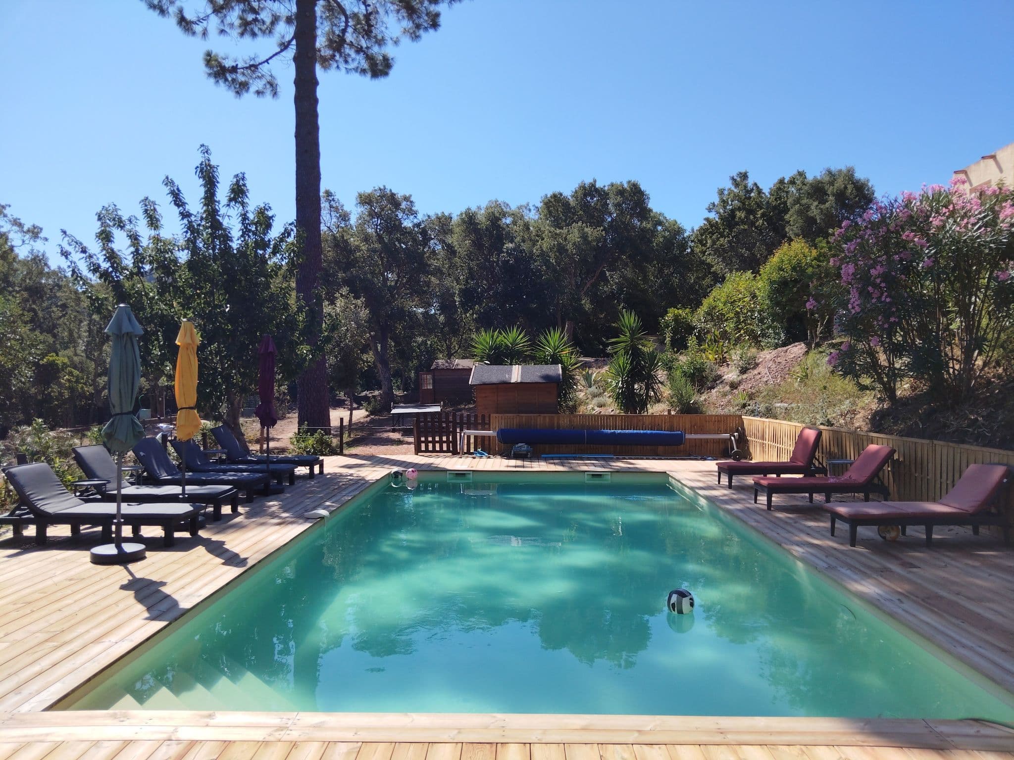 Pool Outdoor
