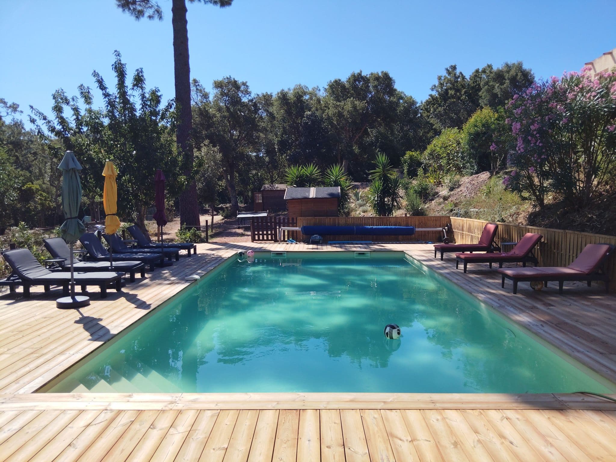 Pool Outdoor