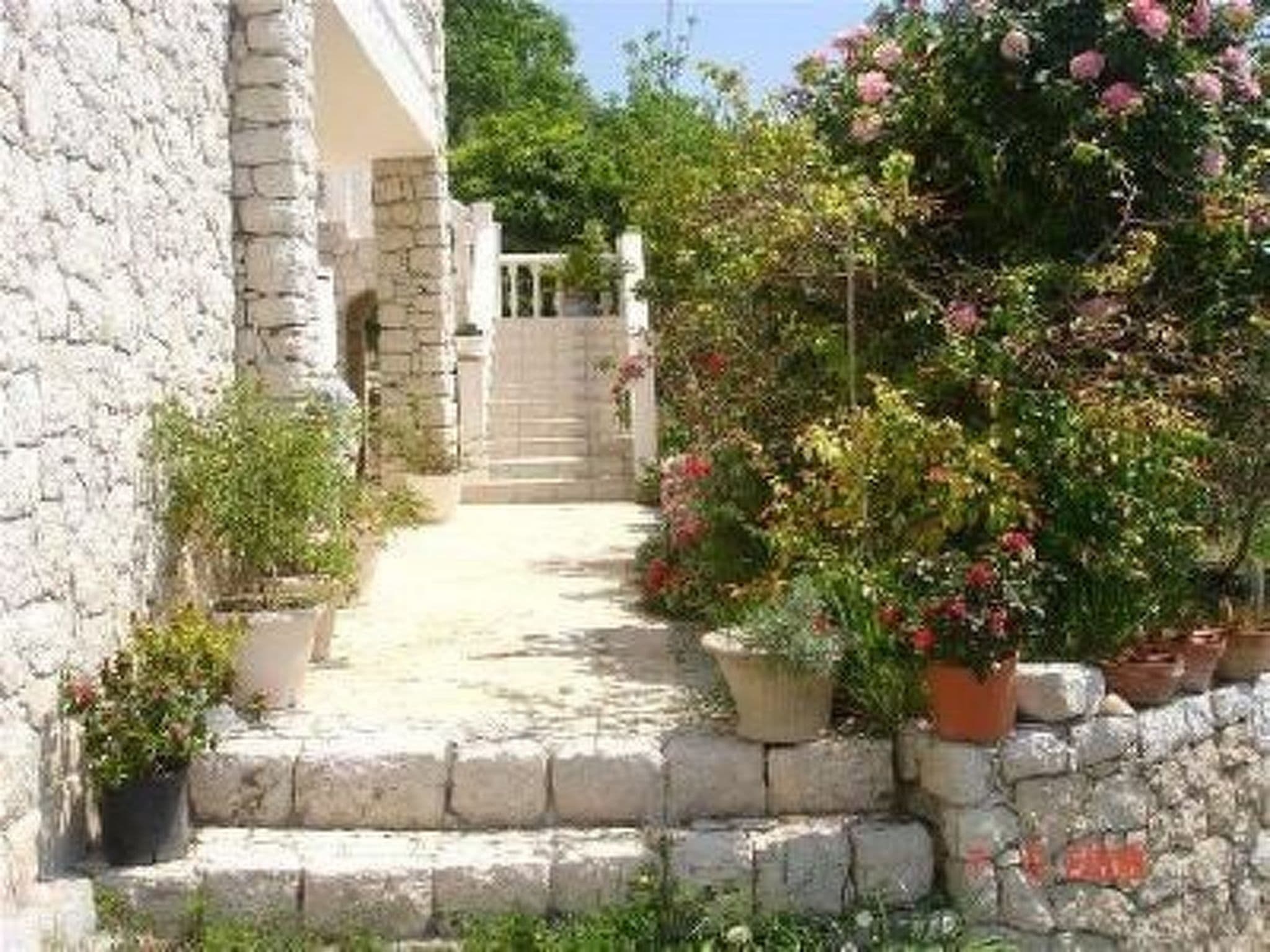 Gallery Image 32
