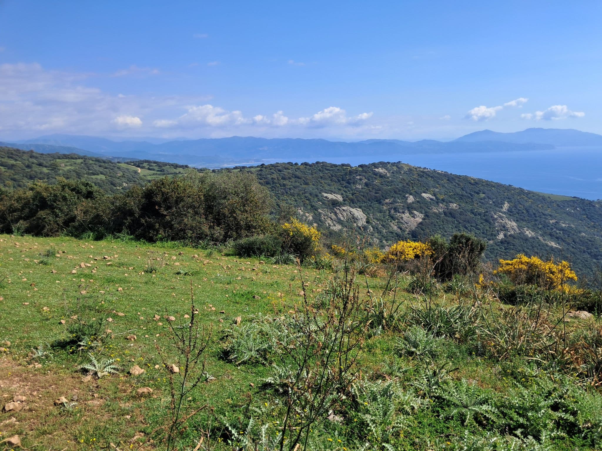 View