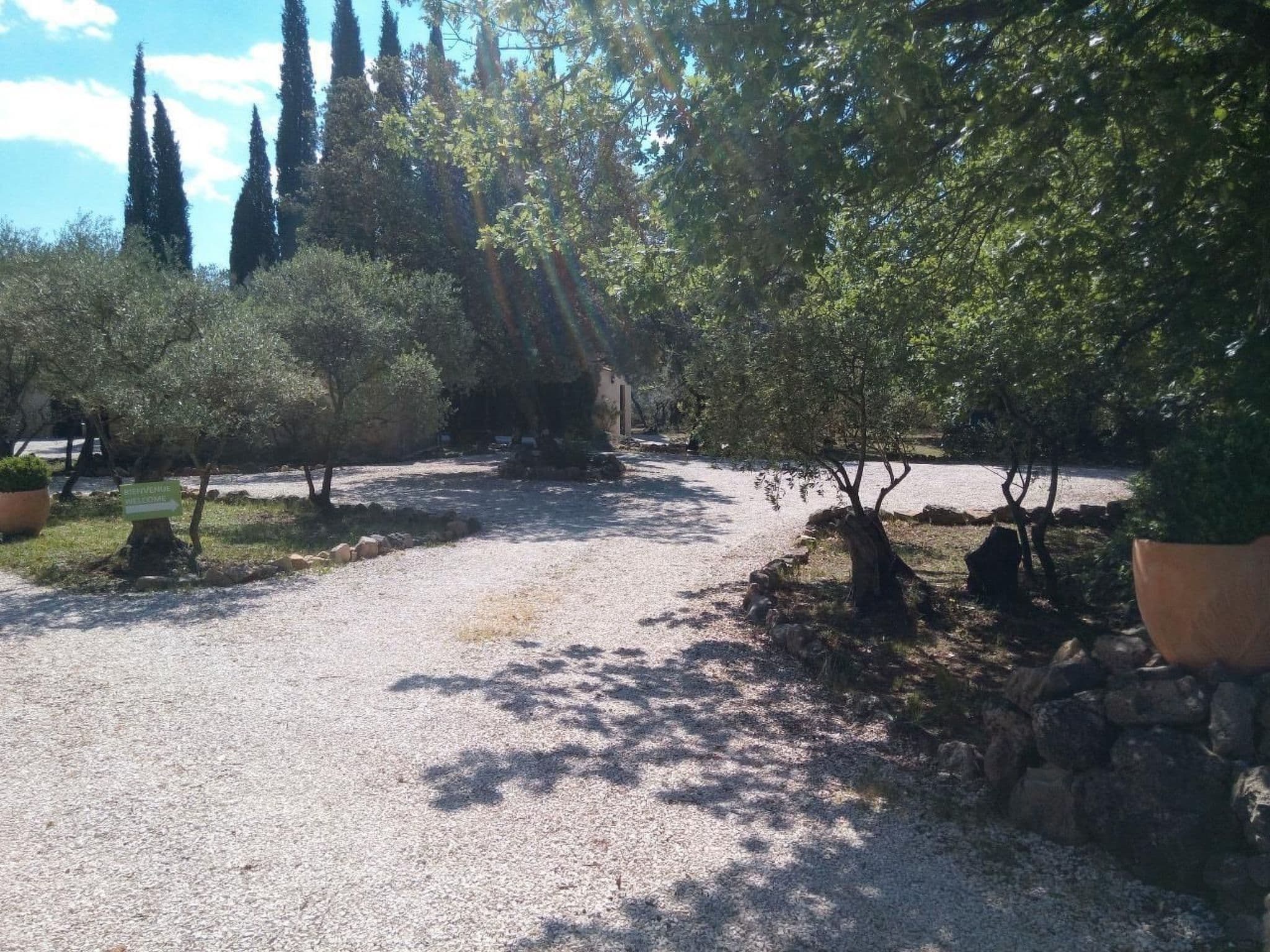 Gallery Image 15