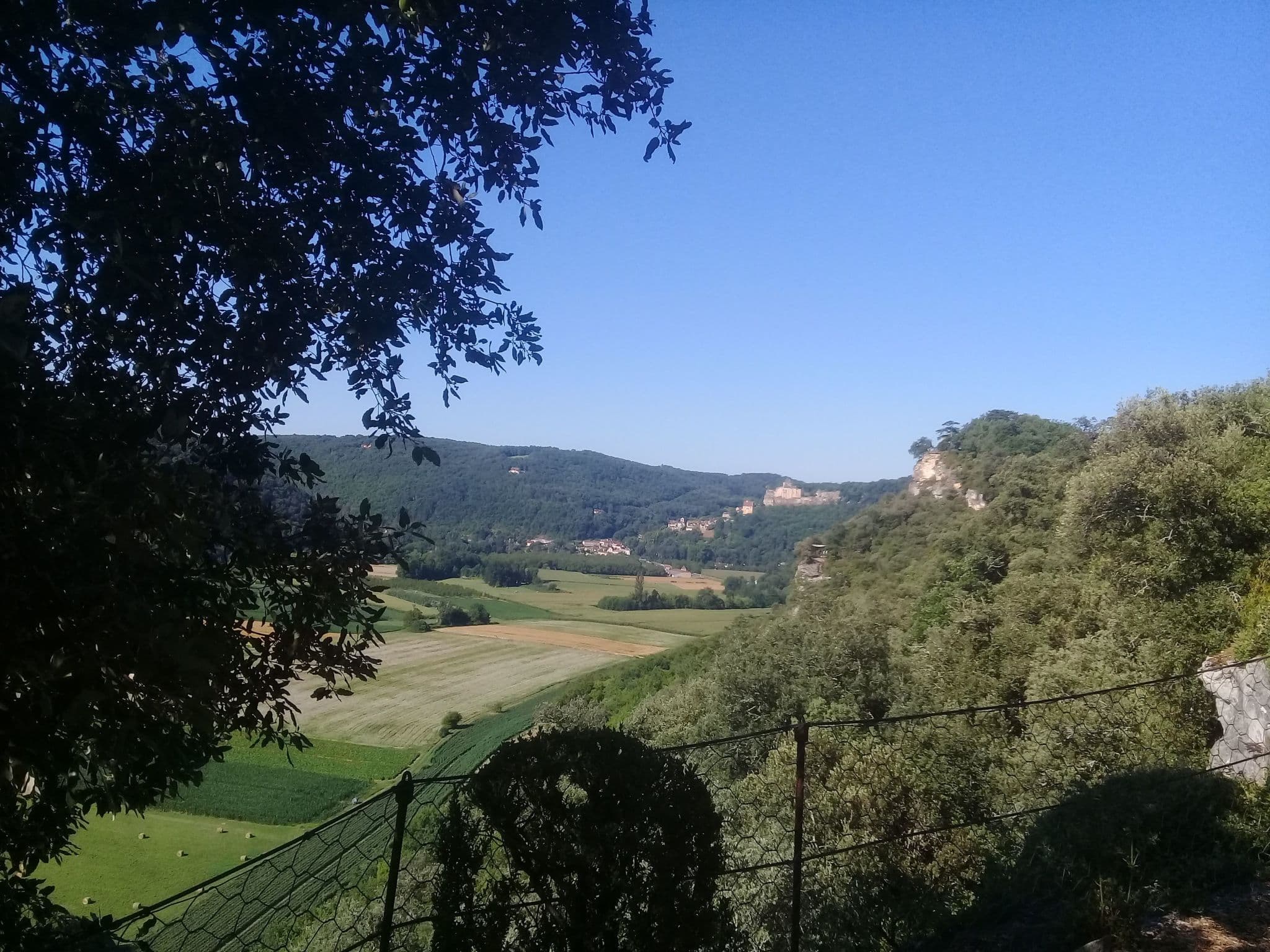 View