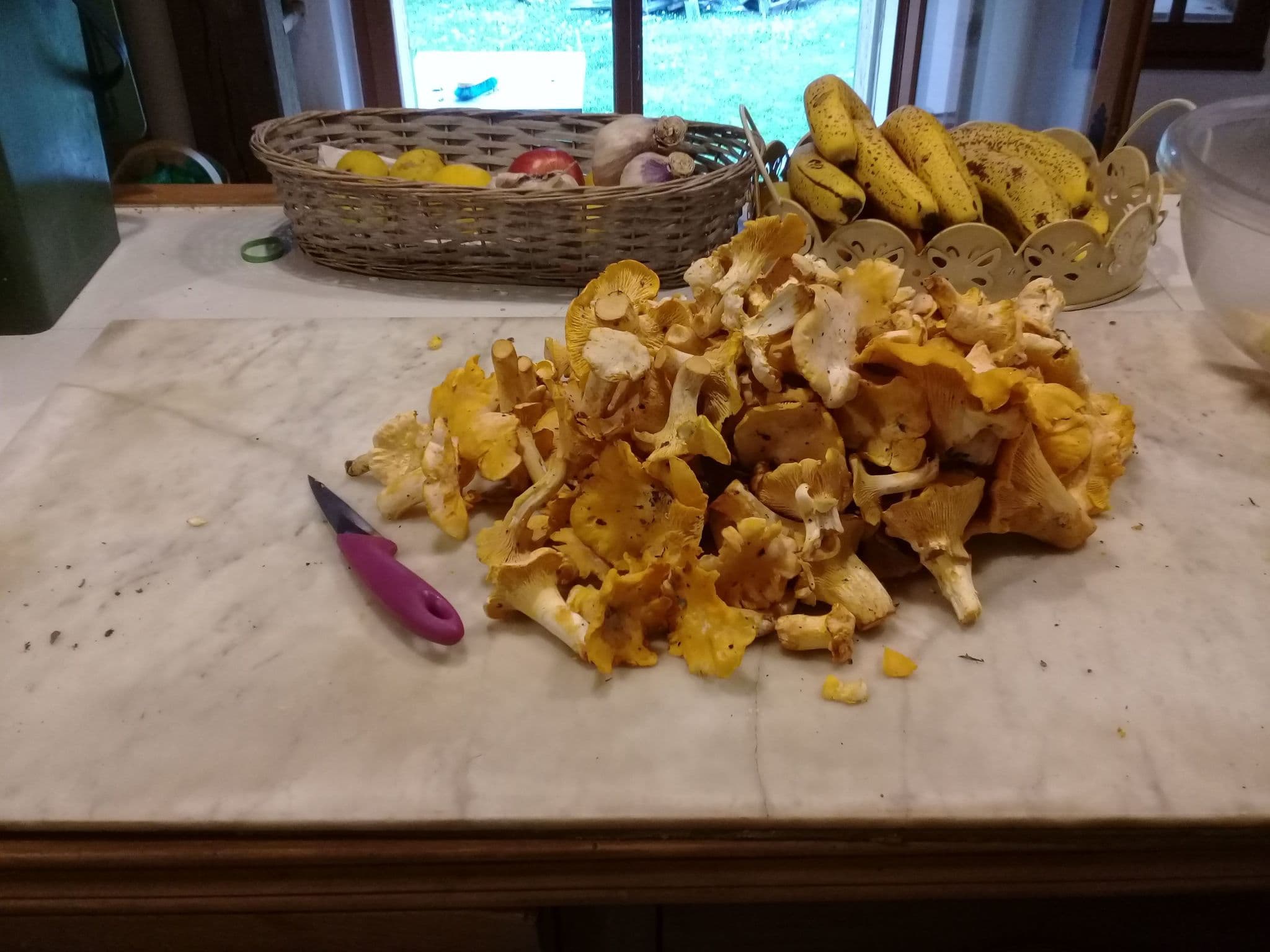 Gallery Image 22