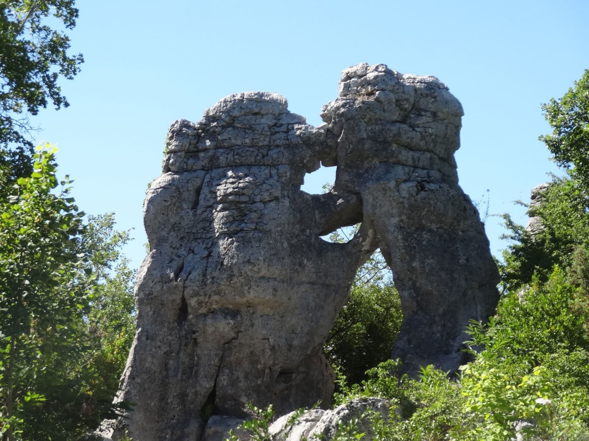 Gallery Image 19