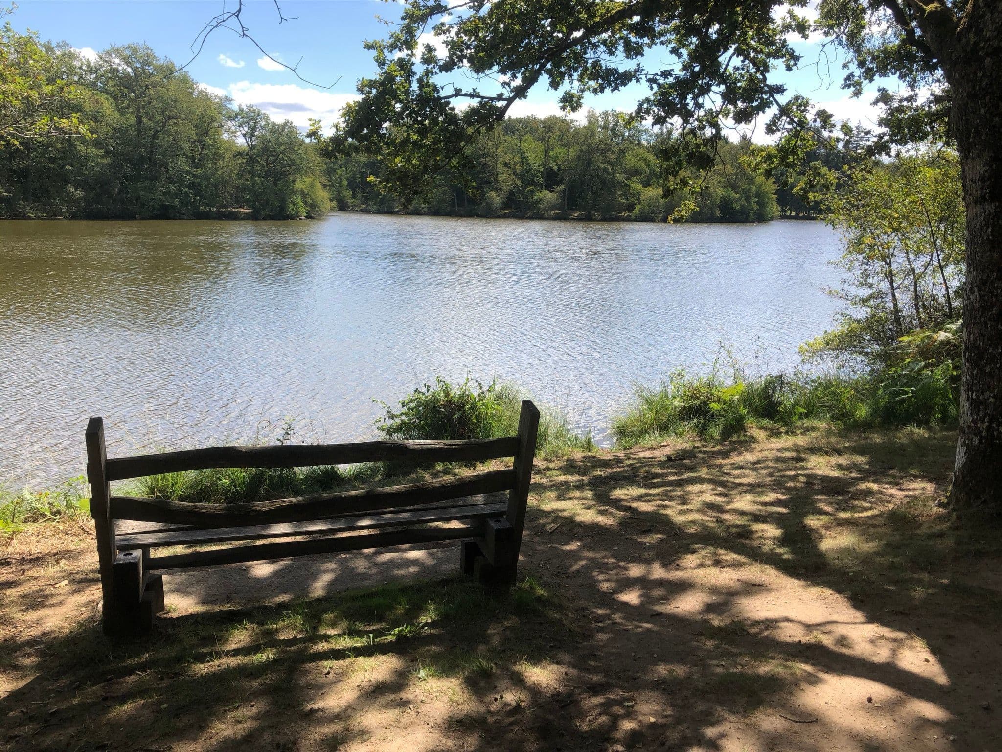 Gallery Image 46