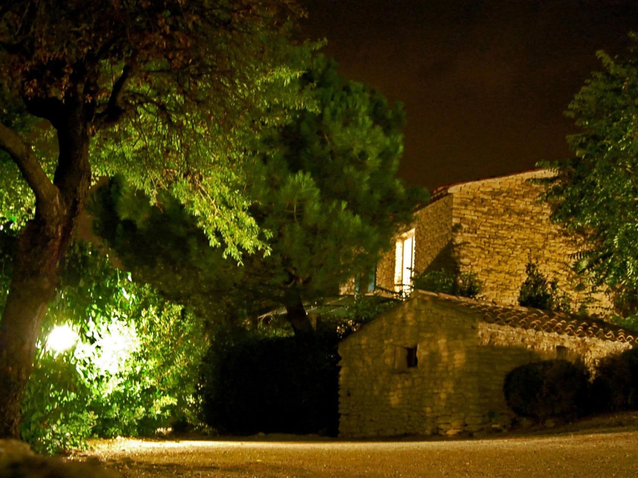 Gallery Image 25