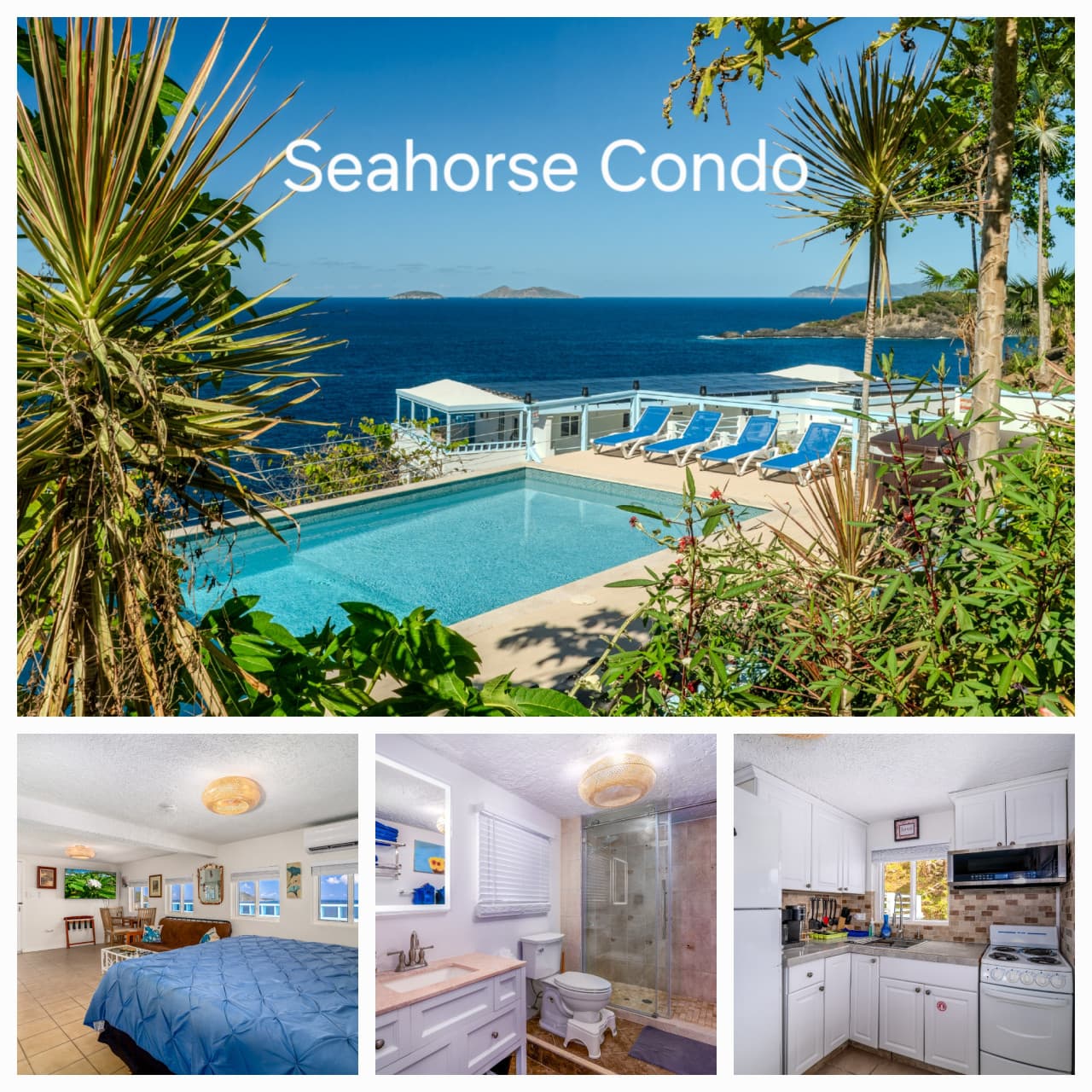 Seahorse Oceanfront Villa with Pool & Hot Tub! USVI