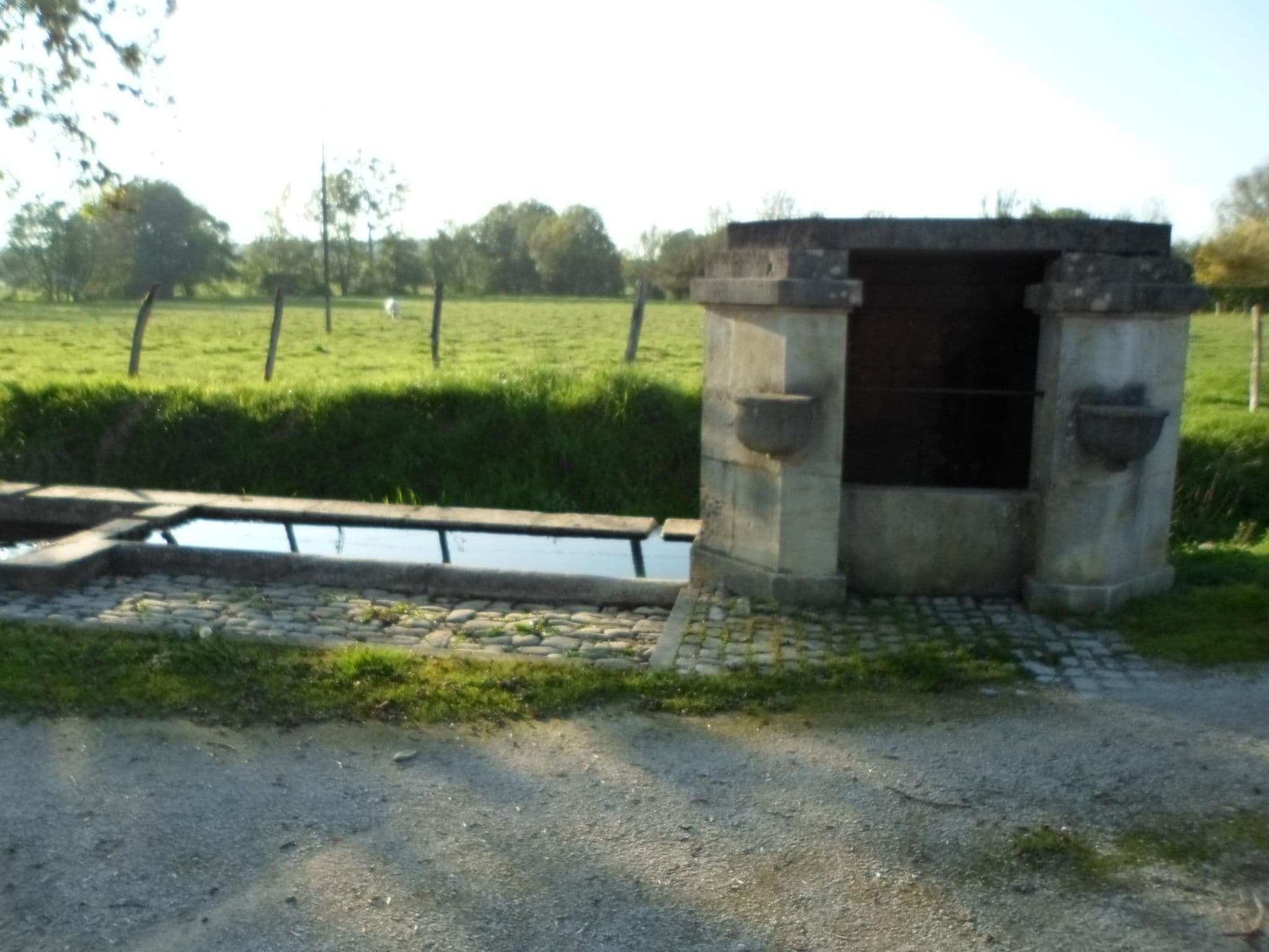 Gallery Image 26